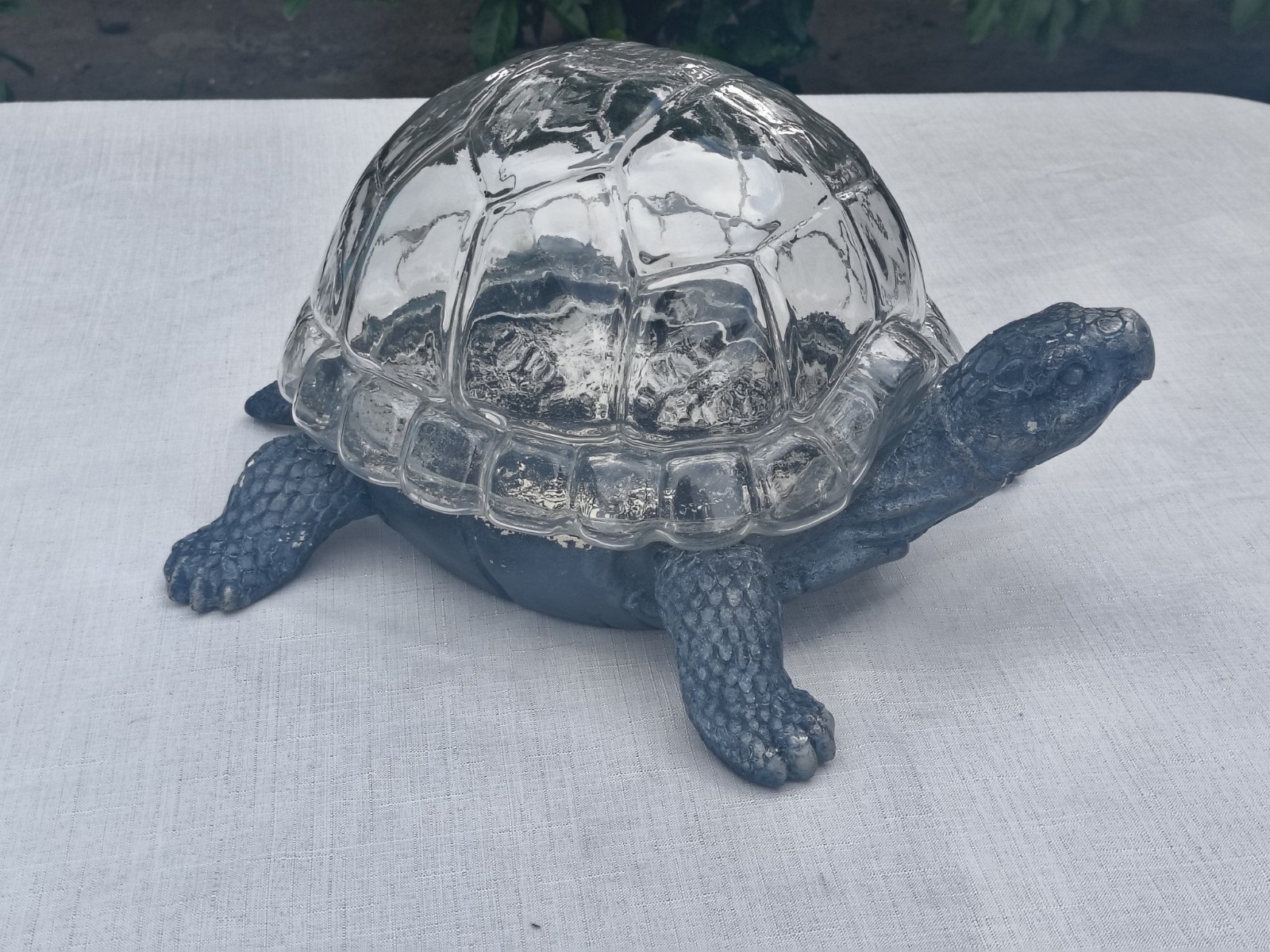 Turtle Shaped Glass Terrarium - Glass Shell Dome Turtle Shaped Glass Terrarium - Glass Shell Dome