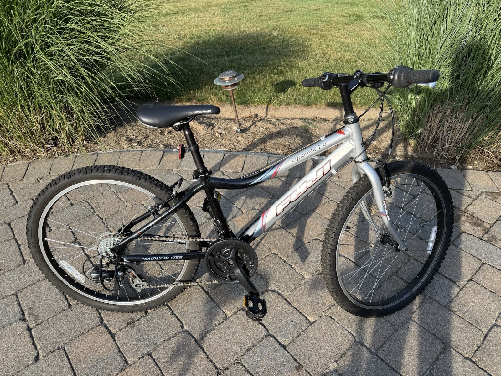 Fuji Dynamite 24