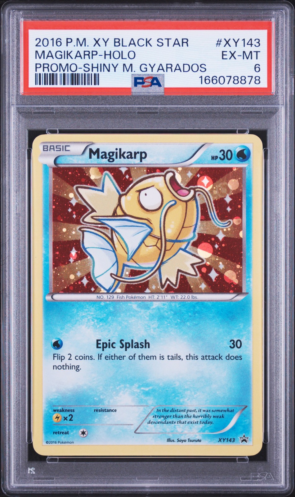 Magikarp Holo XY143 Shiny Mega Gyarados Black Star Promo Pokemon PSA 6