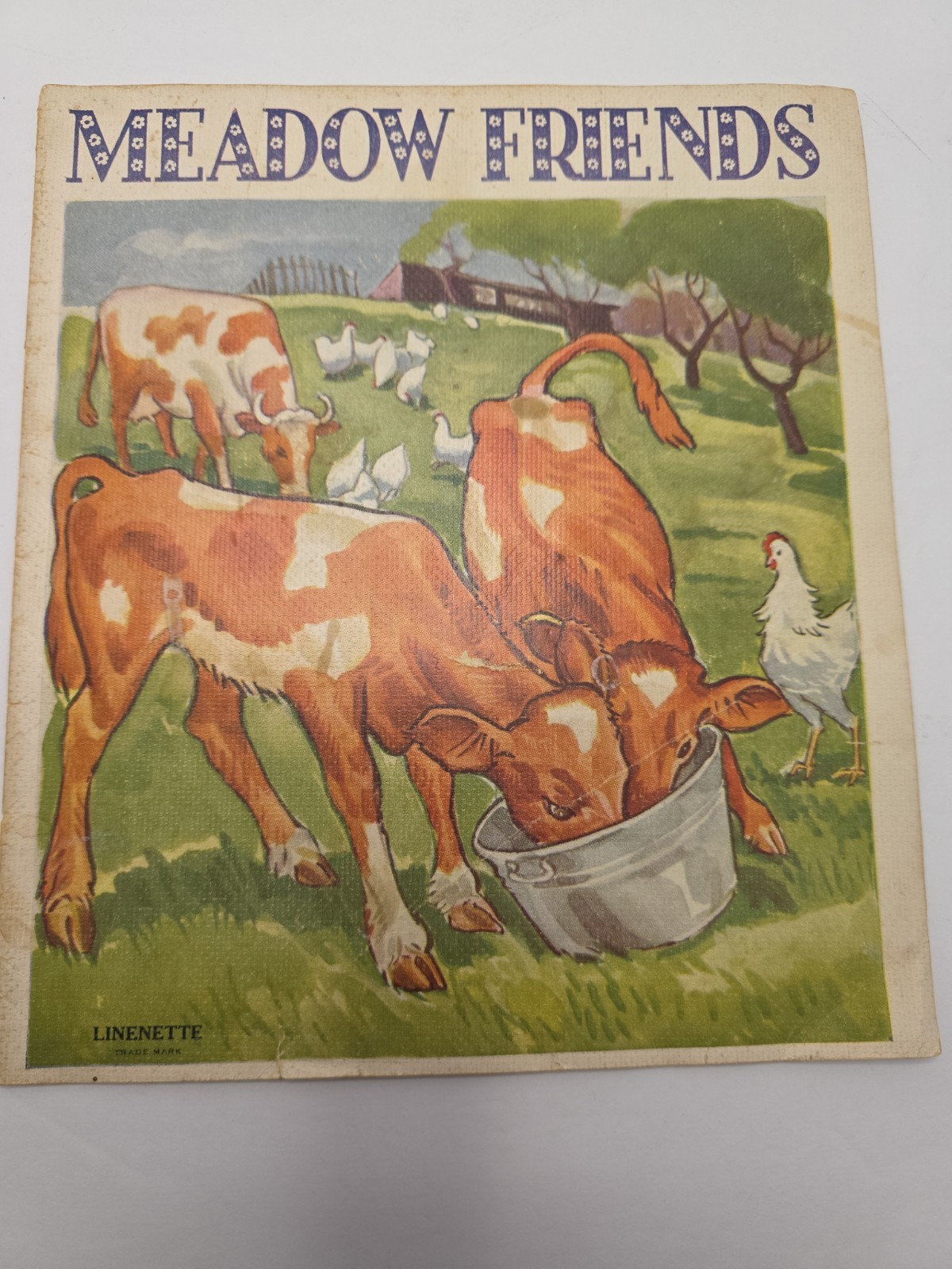 Vintage Sam'l Gabriel Sons & Co. MEADOW FRIENDS Illustrated Childrens Book . Vintage Sam'l Gabriel Sons & Co. MEADOW FRIENDS Illustrated Childrens Book .