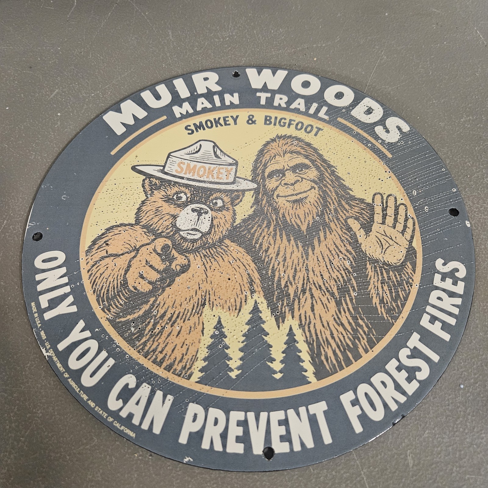 VINTAGE 1955 MUIR WOODS 12