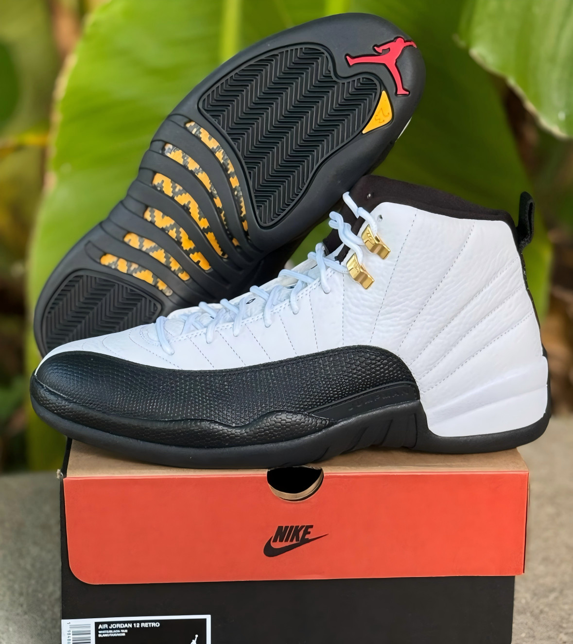 Jordan Air Jordan 12 Retro Taxi (2025) CT8013-117 Men's Size Shoes Ship Now