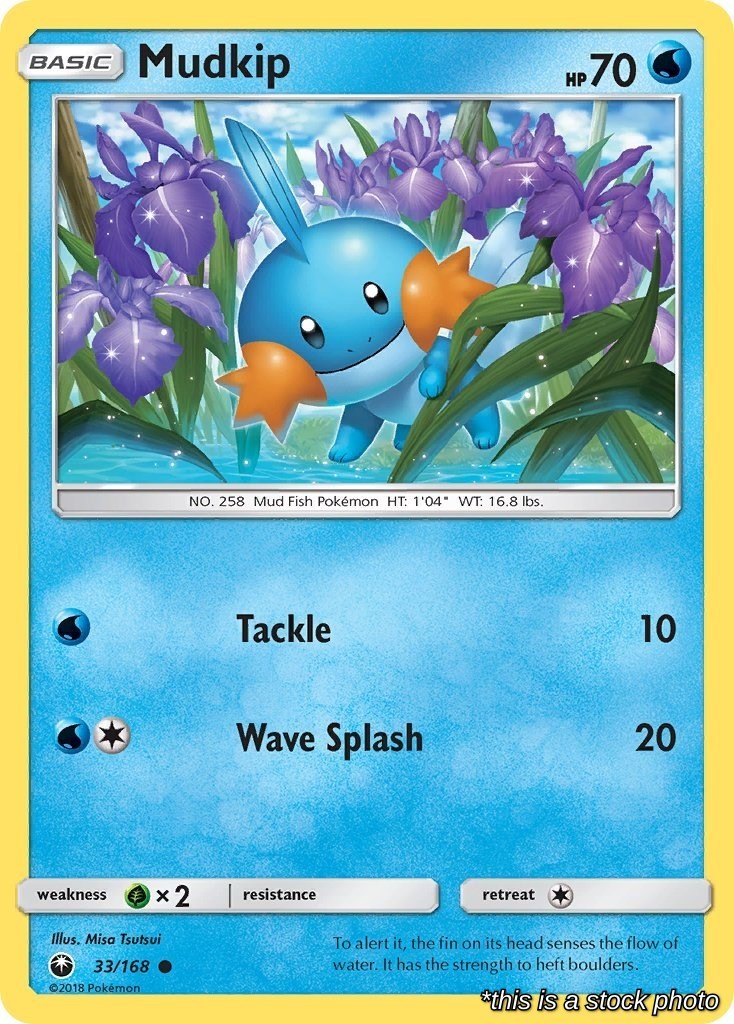 Mudkip (33) 33/168 CES Pokemon NM