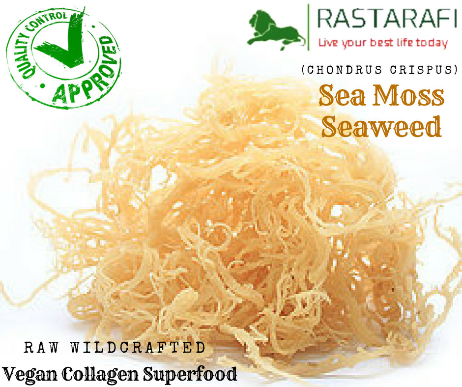 Rastarafi Whole Leaf Irish Moss Sea Moss 1 lb | Raw WildCrafted Superfood-16 Oz