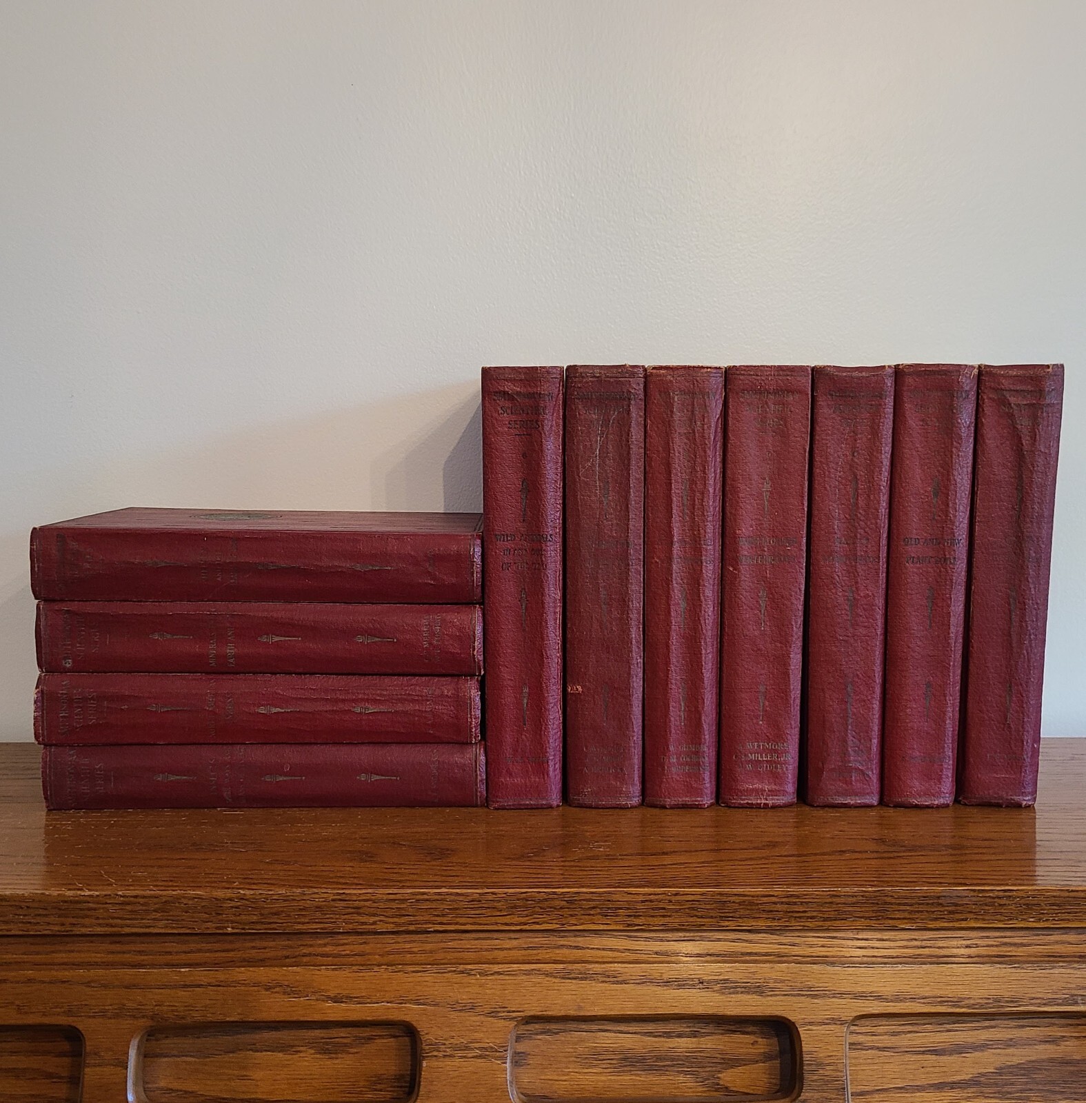 Antique Book Lot 11 Smithsonian Scientific Series v 2 - 12 1934 Decorator Shelf