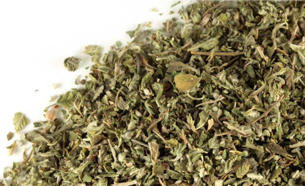 WHOLESALE Damiana Leaf - Cut & Sifted ~ Turnera Diffusa ~ Premium Bulk Herb