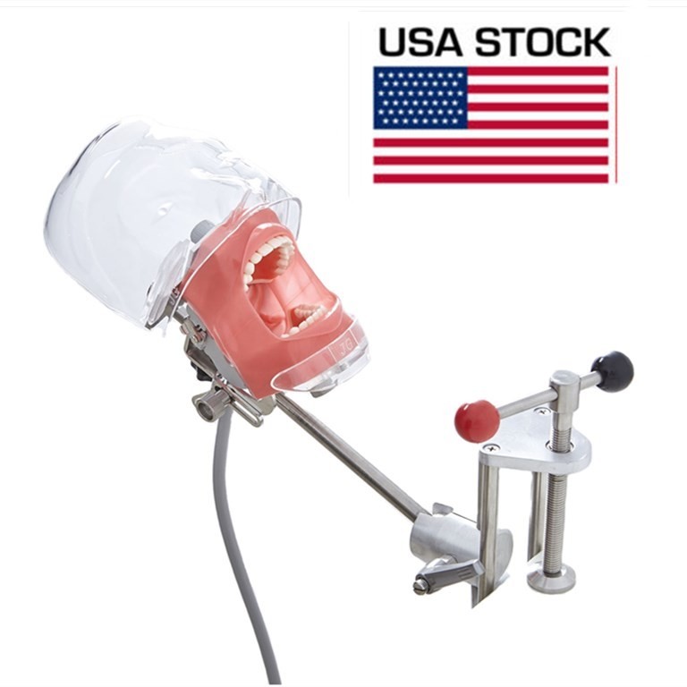 Dental Simulator Manikin Phantom Head Model 28pcs Replacement Teeth For Desk US