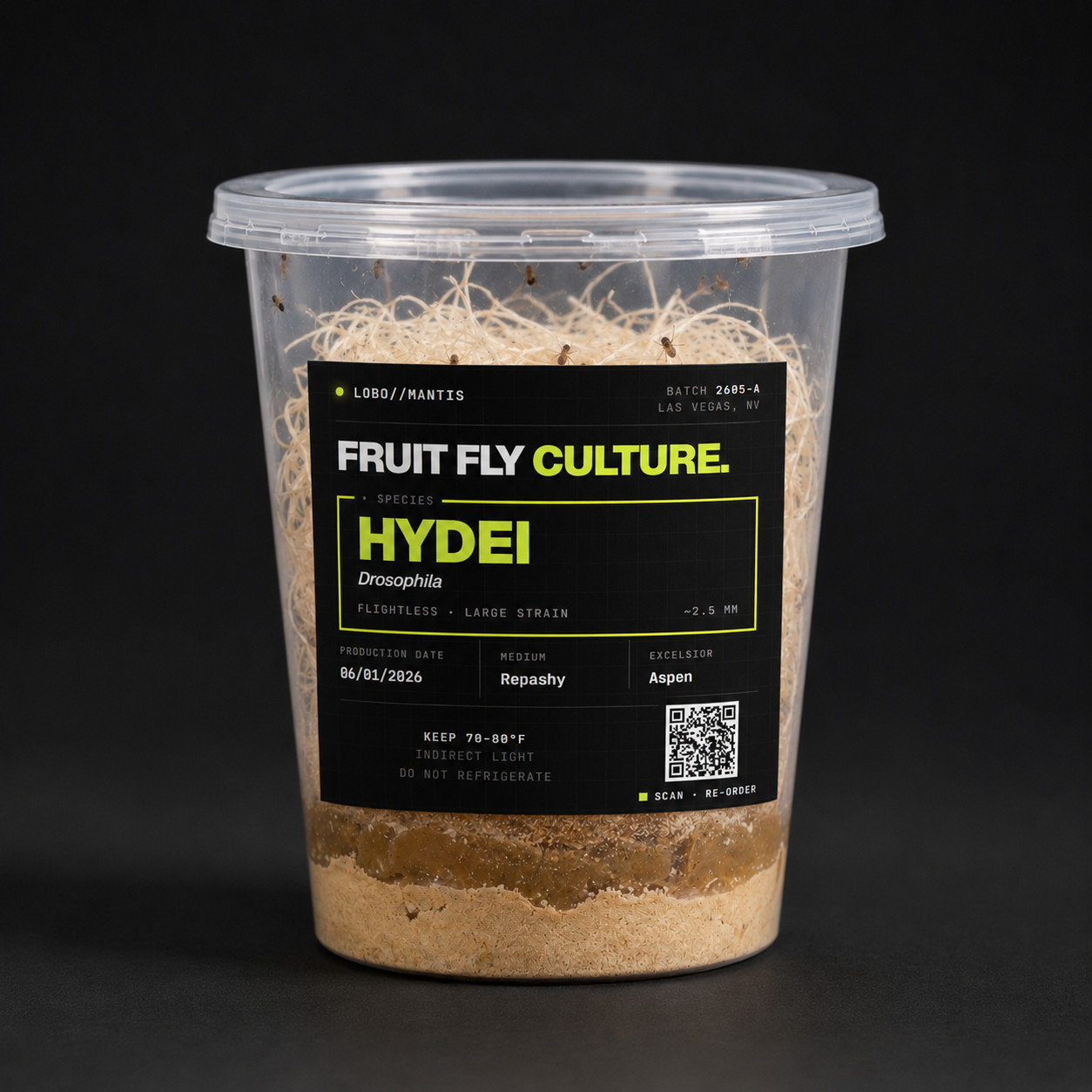D. Hydei Flightless Fruit Fly Culture Drosophila 32oz Live Feeder Flies Reptile