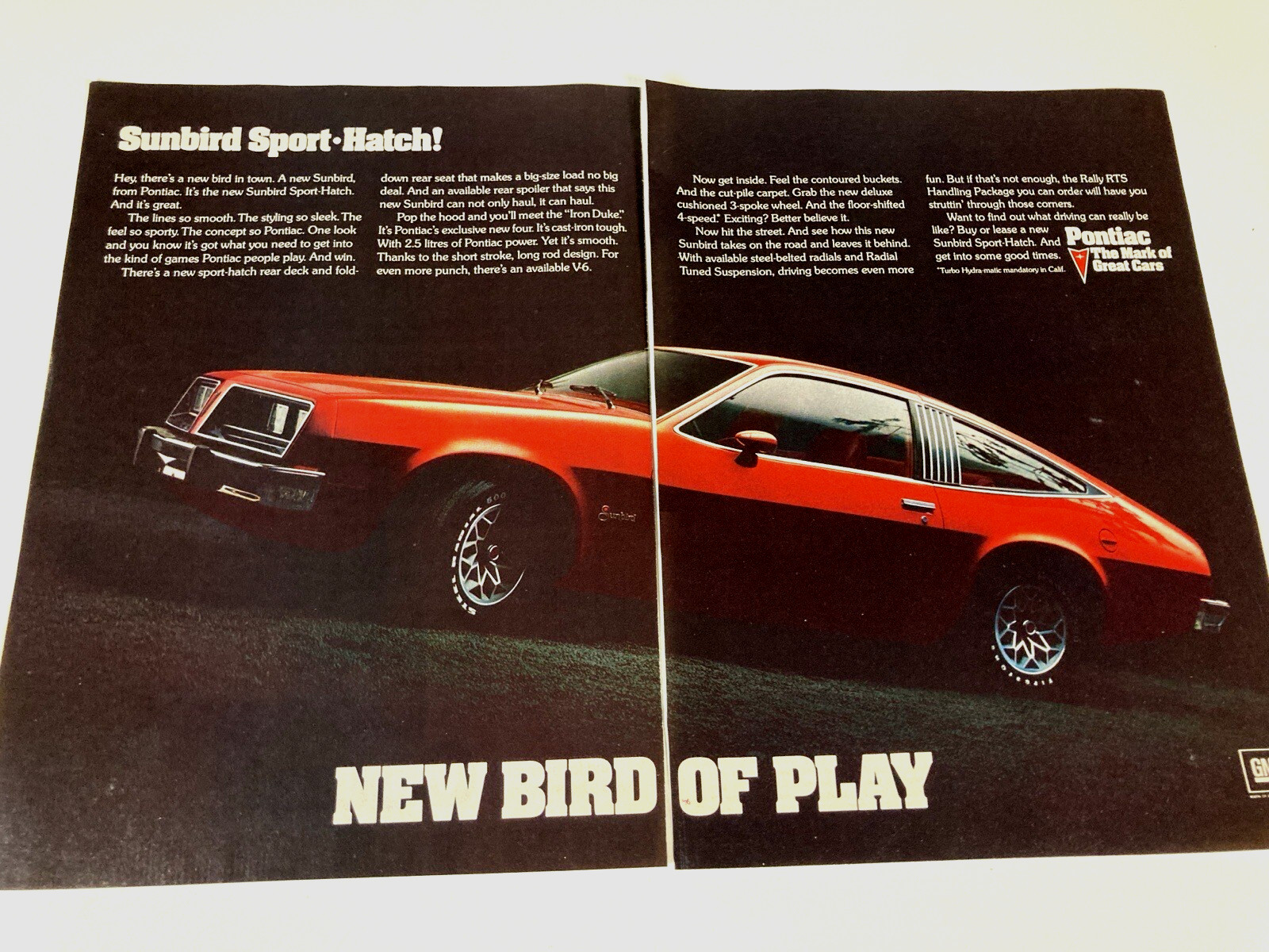 1977 Pontiac Sunbird Print Ad Sport Hatch Bird of Play