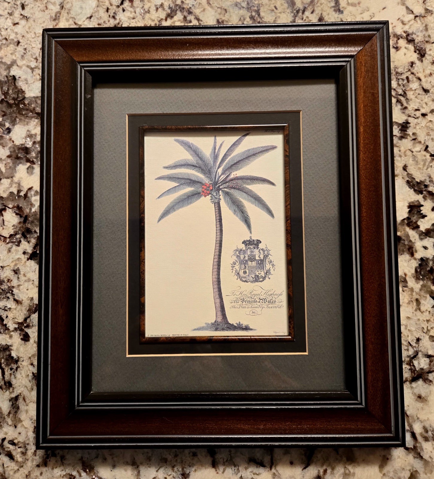 Dionysius Palm Print Dionysius Ehret Art Print (Princess Of Wales) Rare Print.