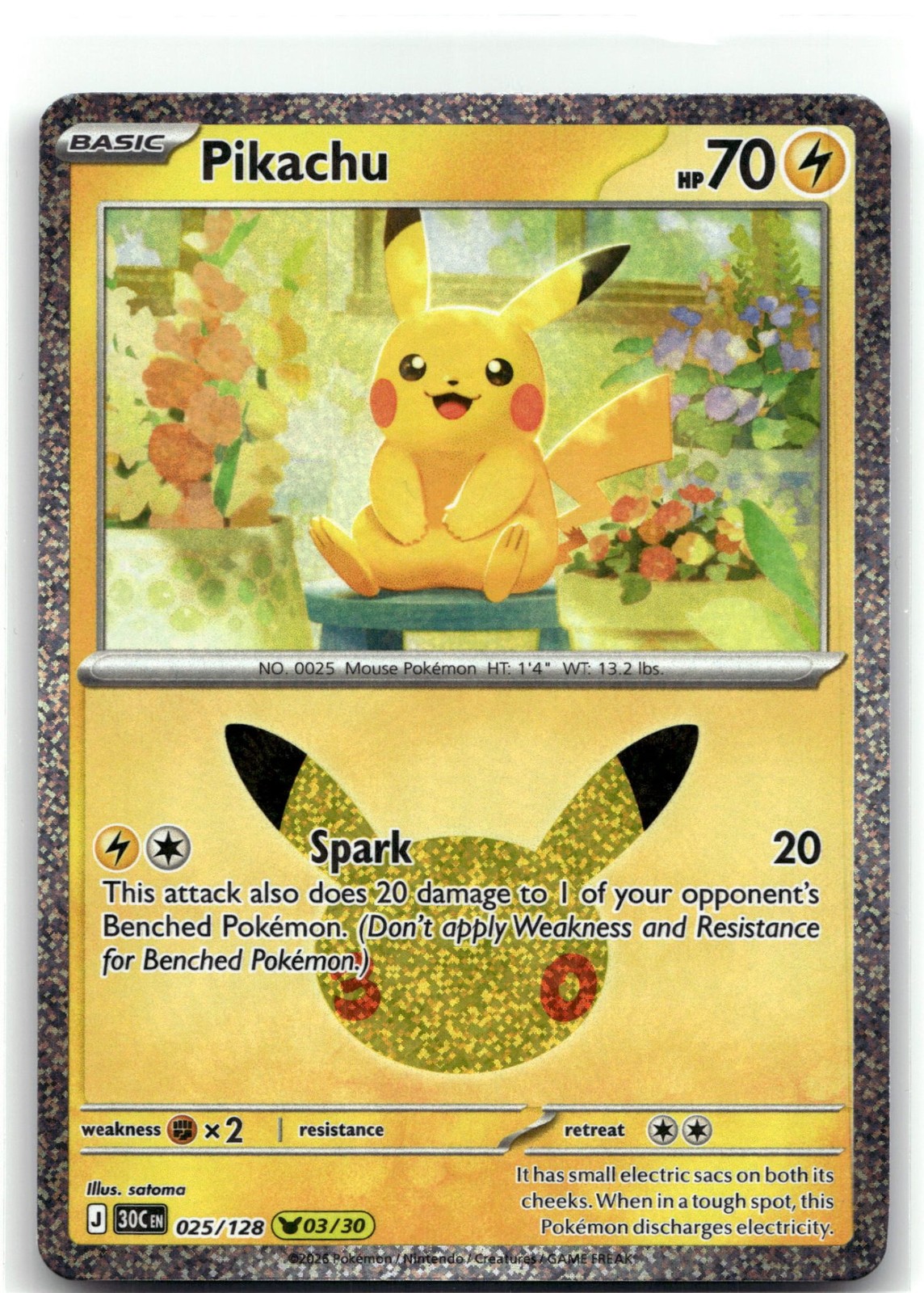 Pikachu Holofoil [30C - 025/128]