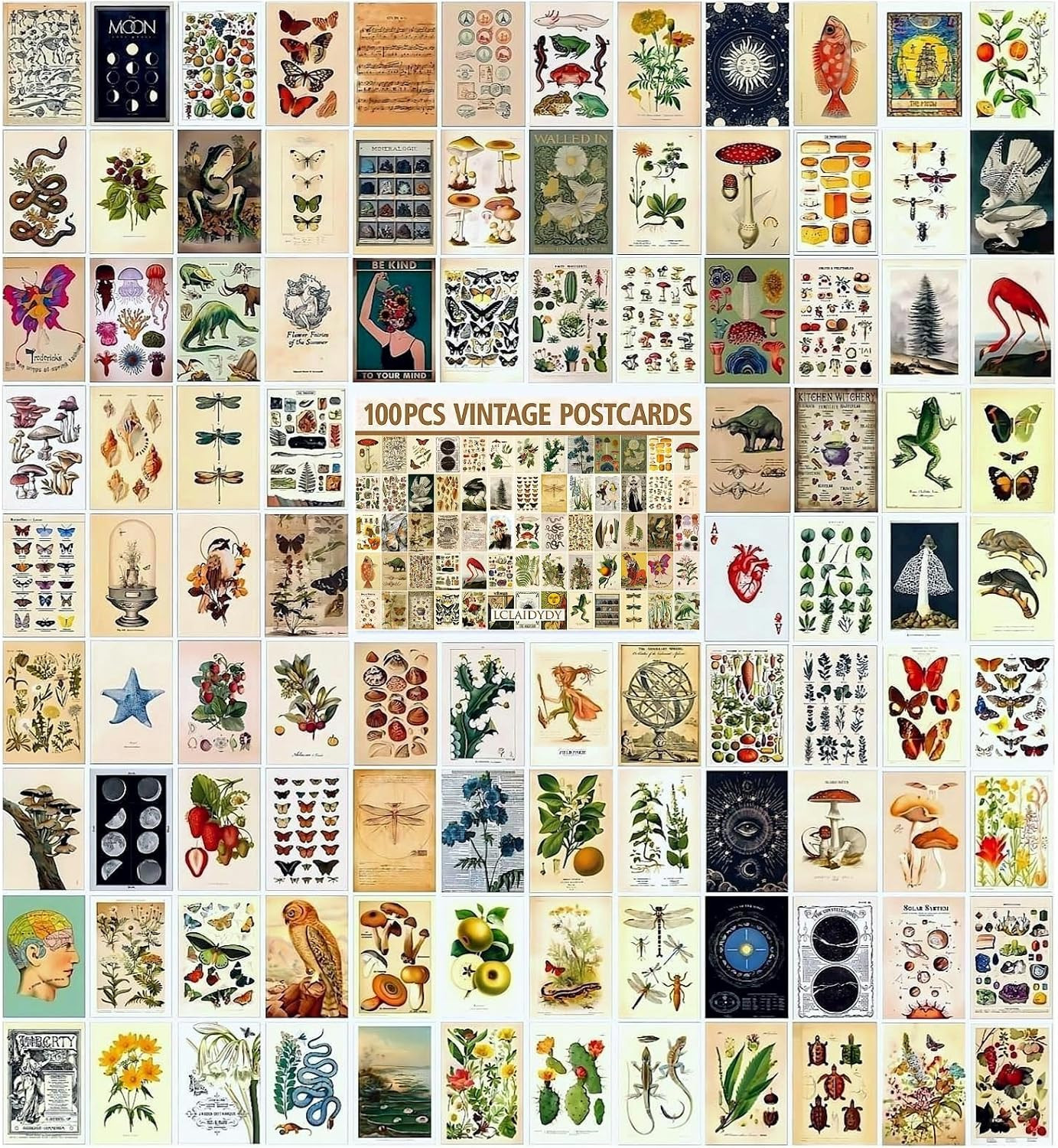 100PCS Vintage Postcard Set 4x6 Retro Botanical Cottagecore Card Pack