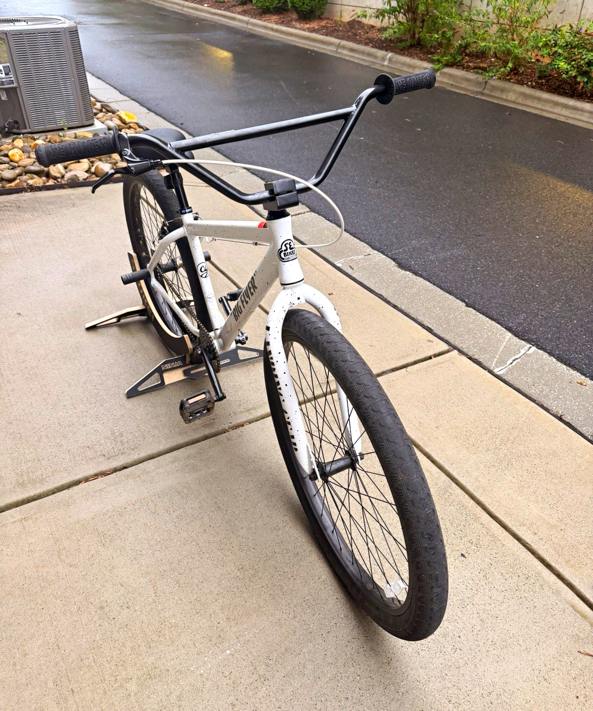 SE Bikes Big Flyer 29