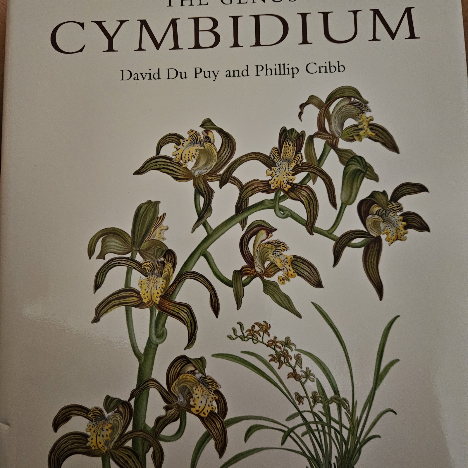 Botanical Magazine Monograph. The Genus Cymbidium by Phillip ... - 9781842461471