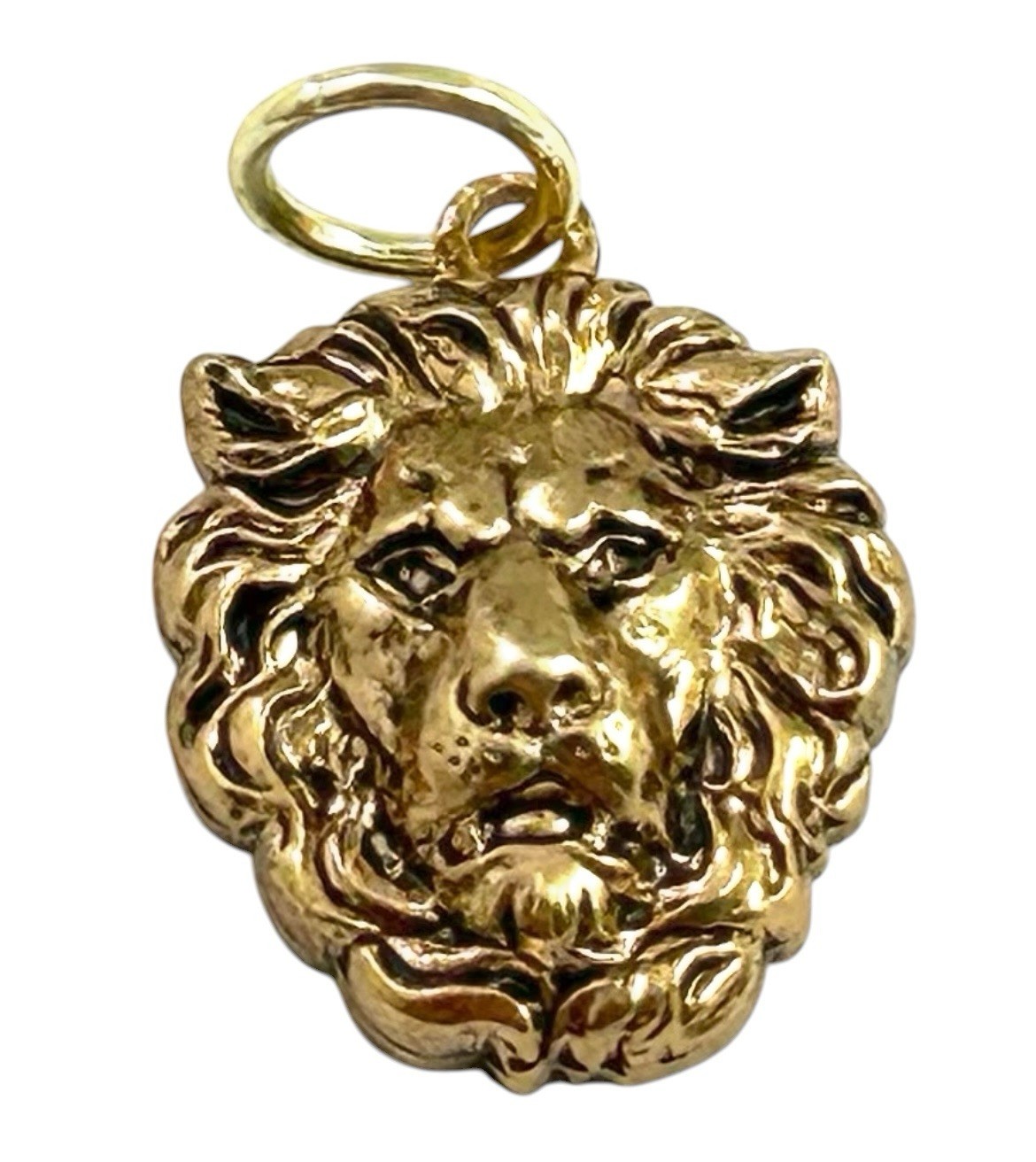 Vintage Lion Head Charm Necklace Pendant Vintage Jewelry