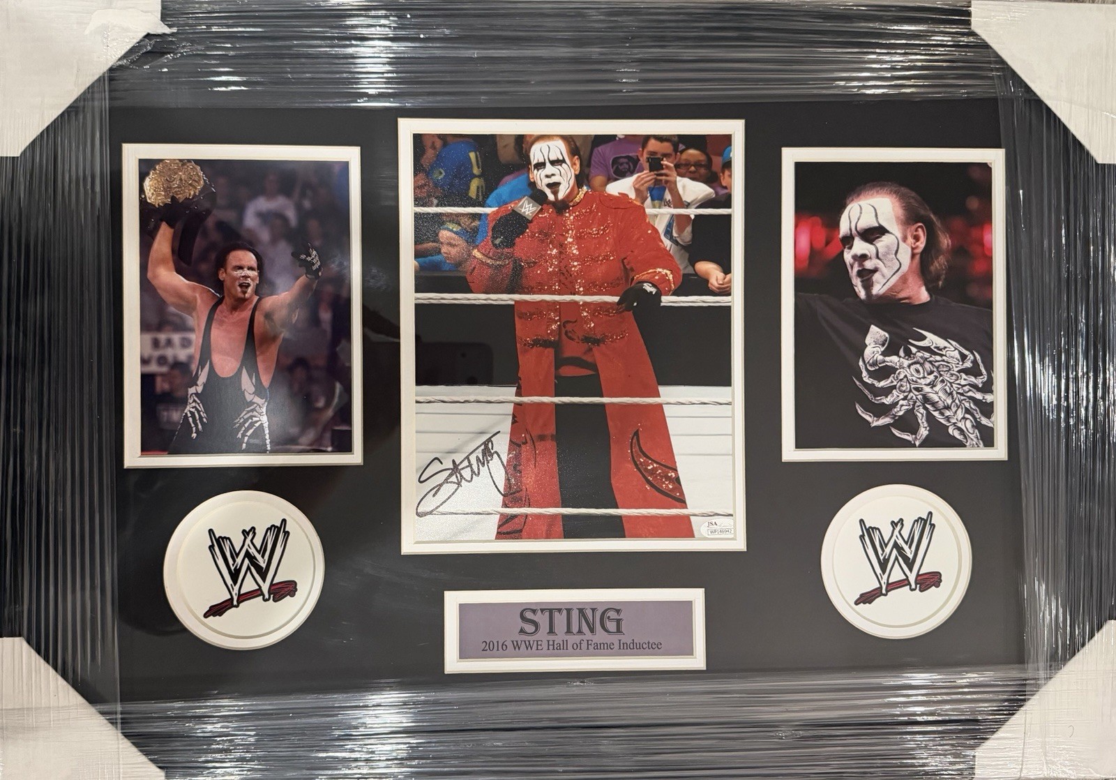 2016 WWE HOF Sting Autographed Framed 8x10 Photo With JSA COA 2016 WWE HOF Sting Autographed Framed 8x10 Photo With JSA COA