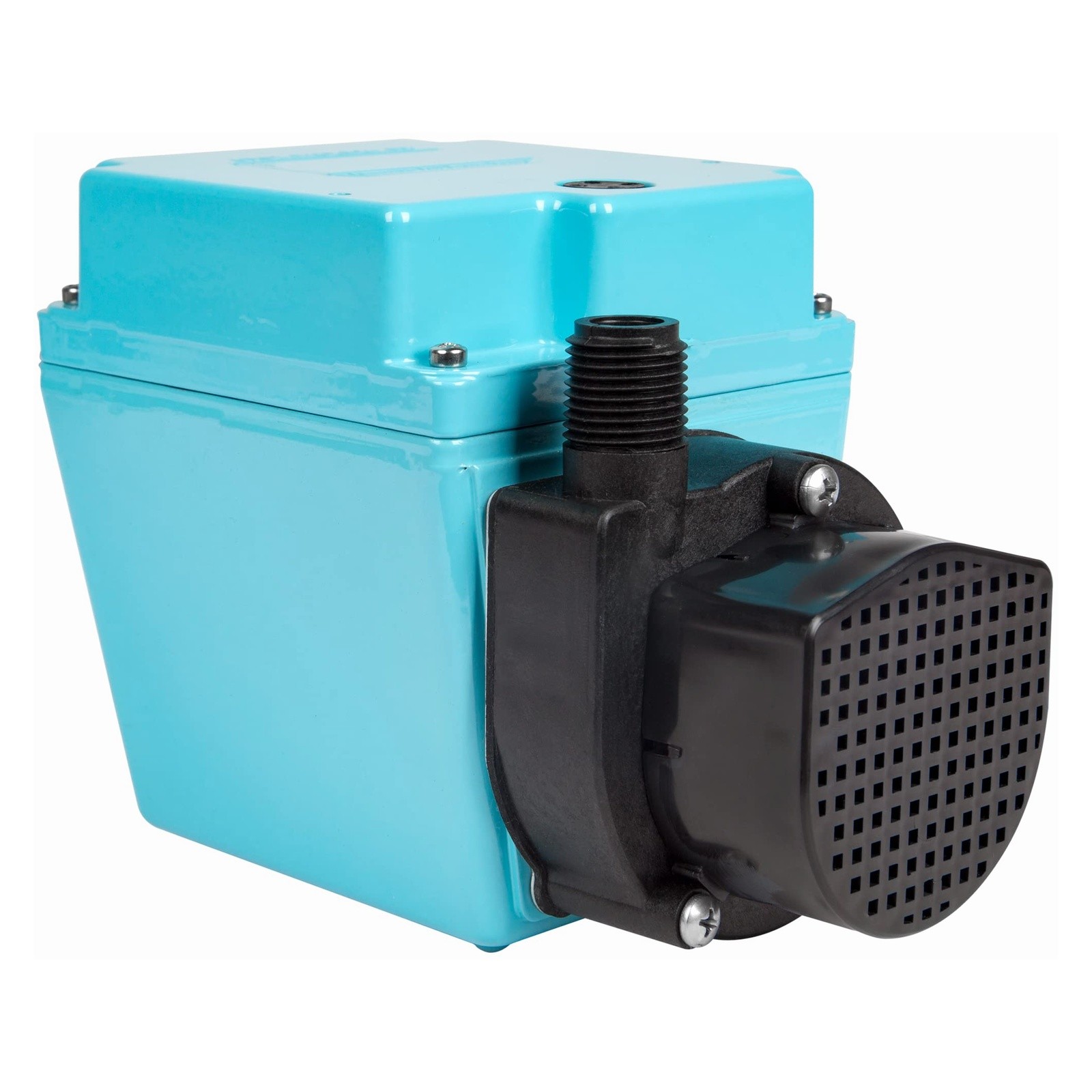 Little Giant 1/15 HP 500 GPH Direct Drive Pump 115V Blue 503103 Little Giant 1/15 HP 500 GPH Direct Drive Pump 115V Blue 503103