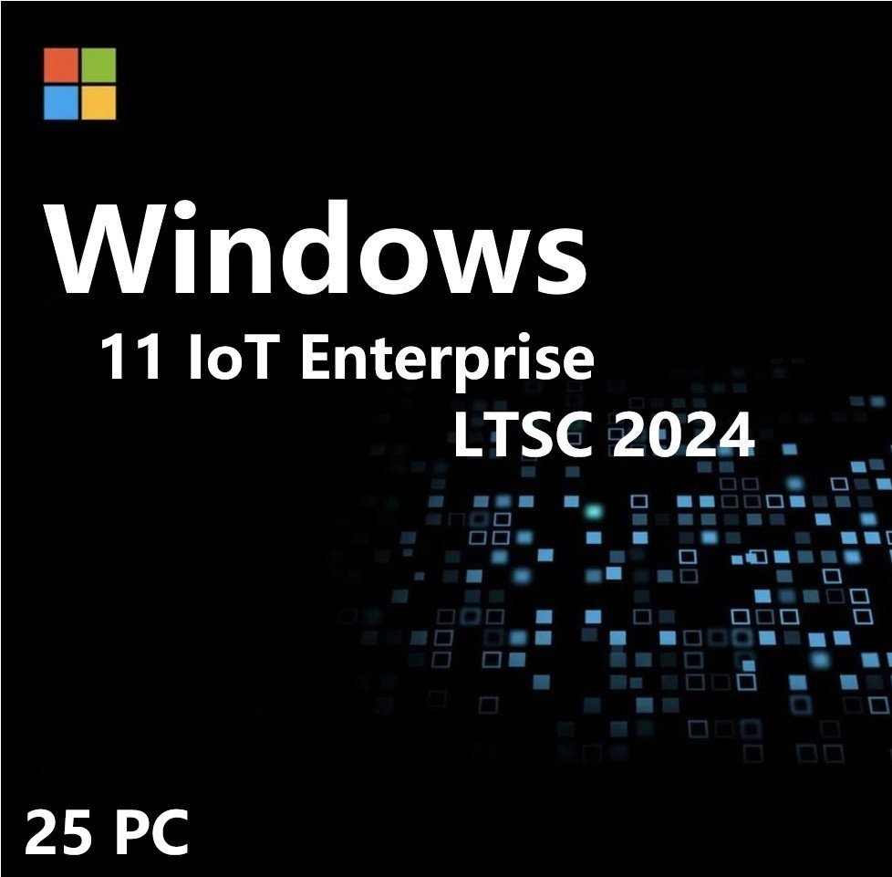 Windows 11 IoT Enterprise LTSC 2024 High End 25PC Use For Multiple Devices ✔ USB