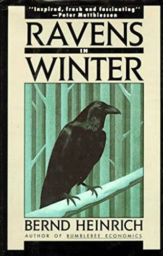 Ravens in Winter - Paperback By Heinrich, Bernd - GOOD