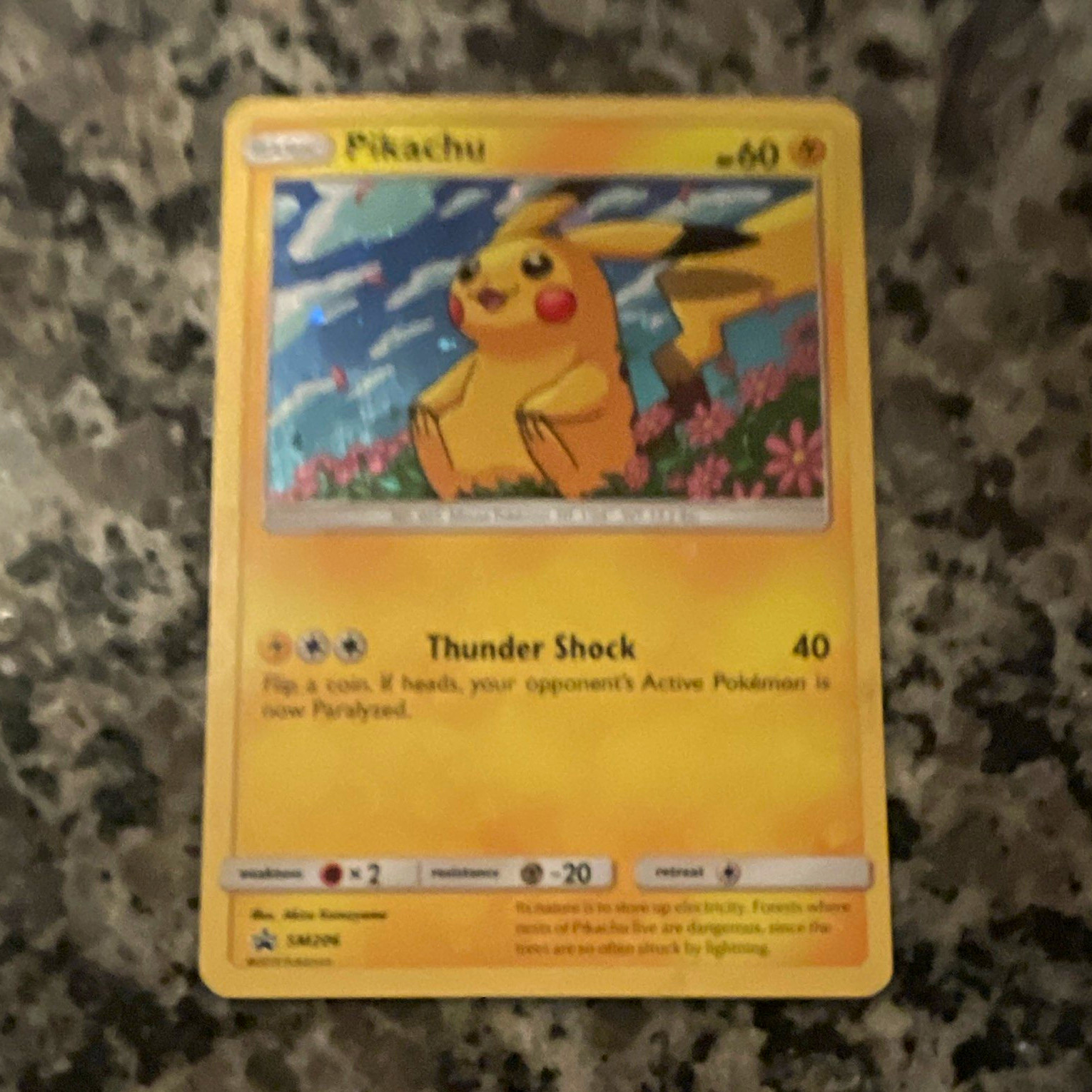 The Pokémon Company Pikachu SM206 SM Promo Holo 60 HP Thunder Shock EN The Pokémon Company Pikachu SM206 SM Promo Holo 60 HP Thunder Shock EN