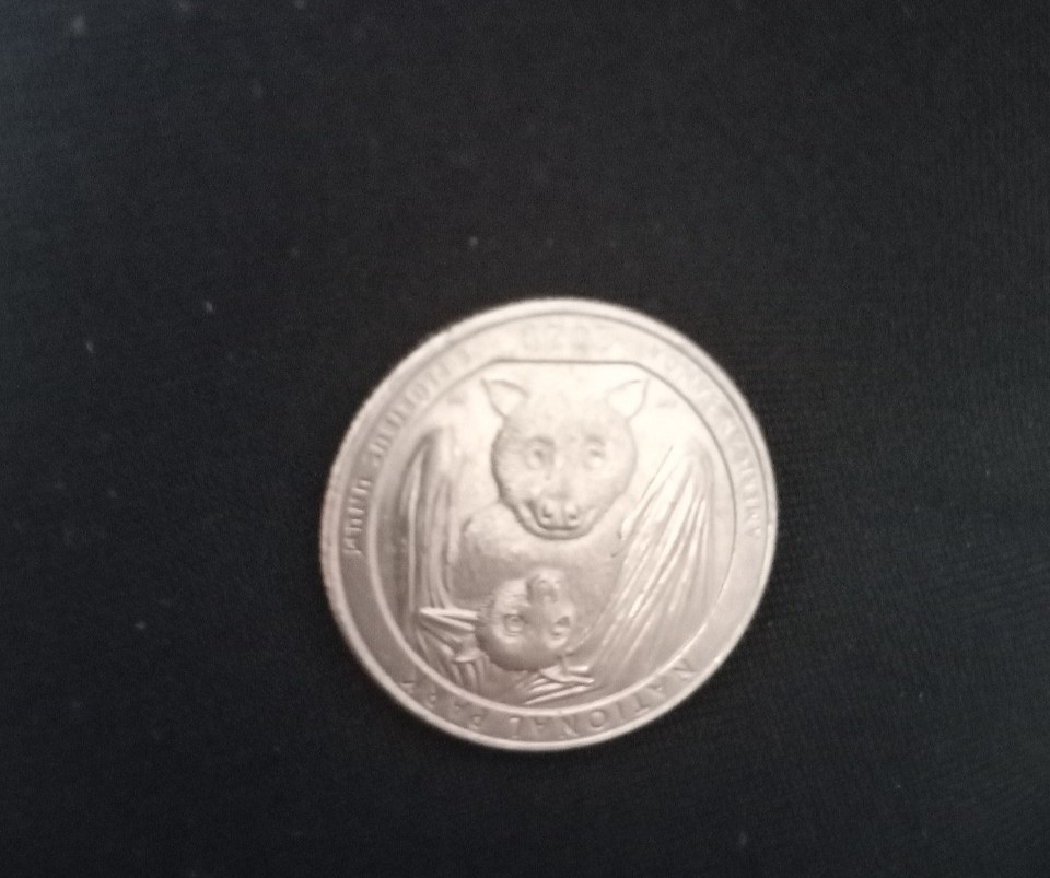 2020 D ATB, AMERICAN SAMOA FRUIT BAT AND HER PUP, U.S. Mint Quarter