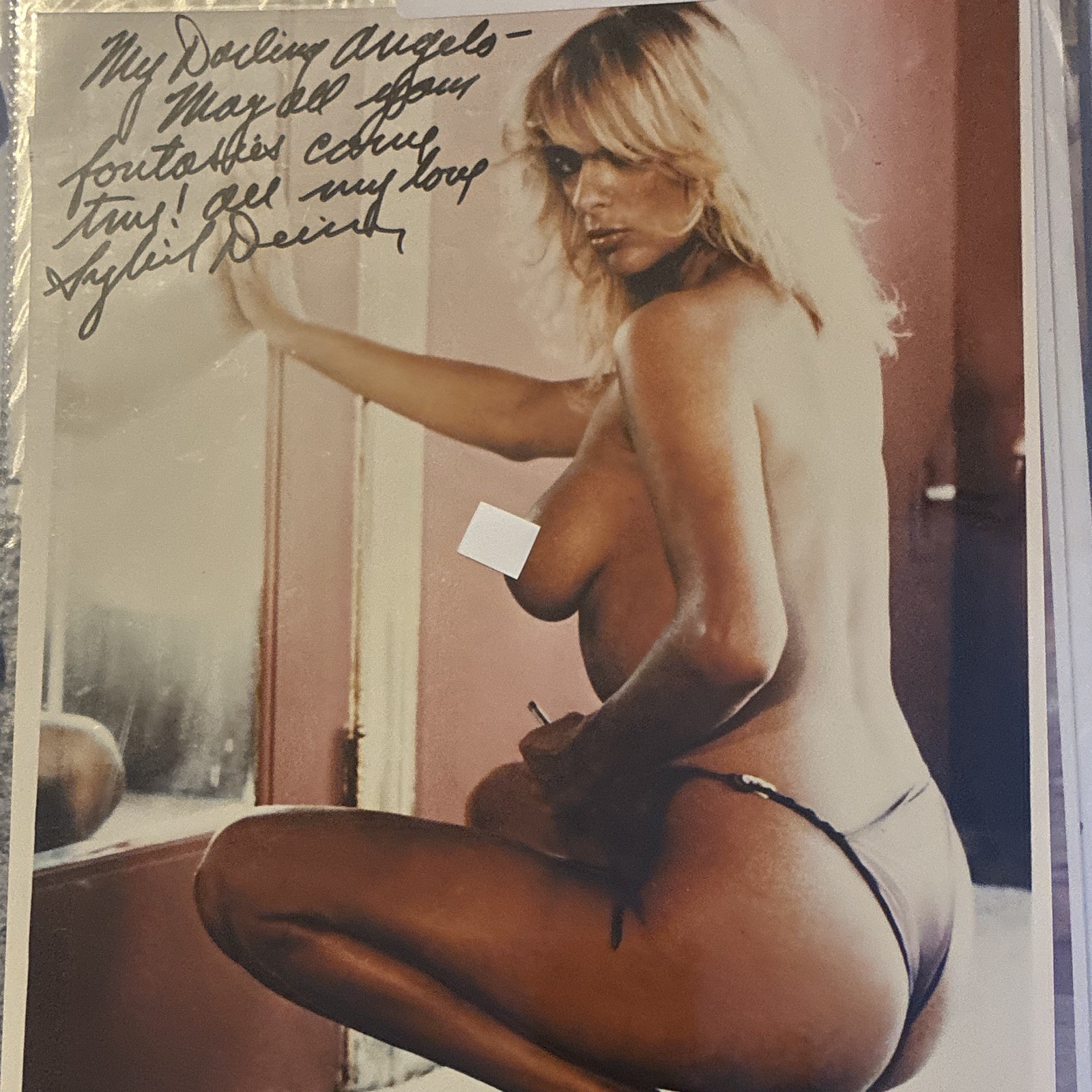Sybil Danning Celebrity Hand Signed Autograph 8x10 Photo Sybil Danning Celebrity Hand Signed Autograph 8x10 Photo