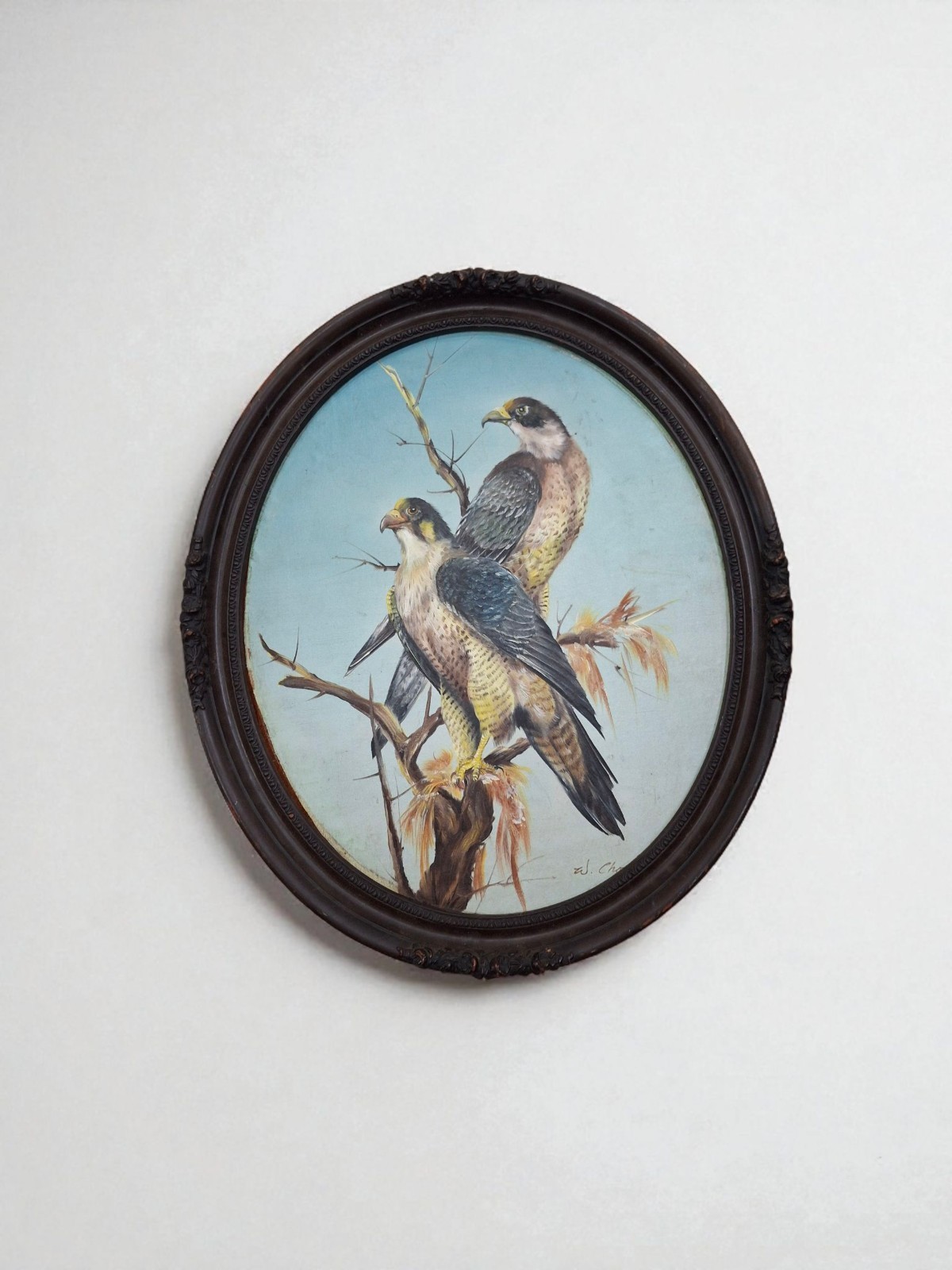 Antique Raptor Peregrine Falcons Avian Painting Signed 27\