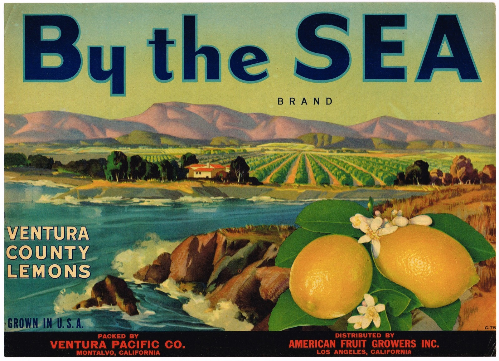 ORIGINAL LEMON CRATE LABEL VINTAGE VENTURA COUNTY MONTALVO 1940 RARE BY THE SEA ORIGINAL LEMON CRATE LABEL VINTAGE VENTURA COUNTY MONTALVO 1940 RARE BY THE SEA