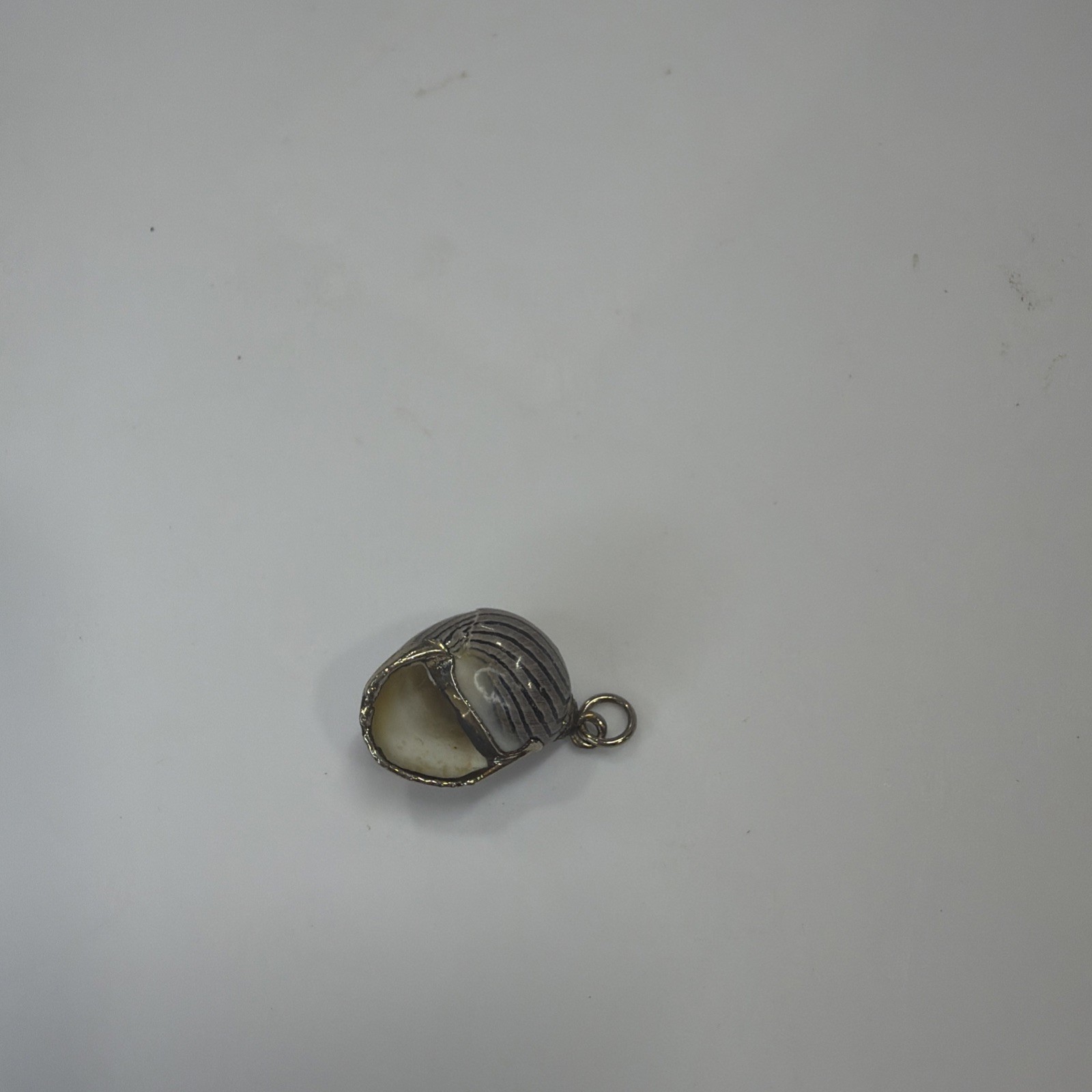 Vintage Real Seashell Locket Silver Tone Shell Beach Jewelry Vintage Real Seashell Locket Silver Tone Shell Beach Jewelry