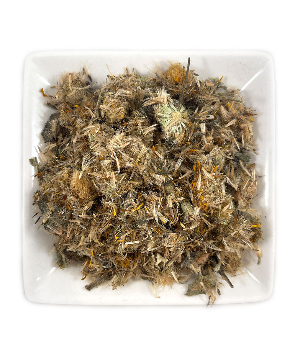 Arnica Flowers Whole Mexican Heterotheca inuloides Fresh Arnica Flowers Whole Mexican Heterotheca inuloides Fresh