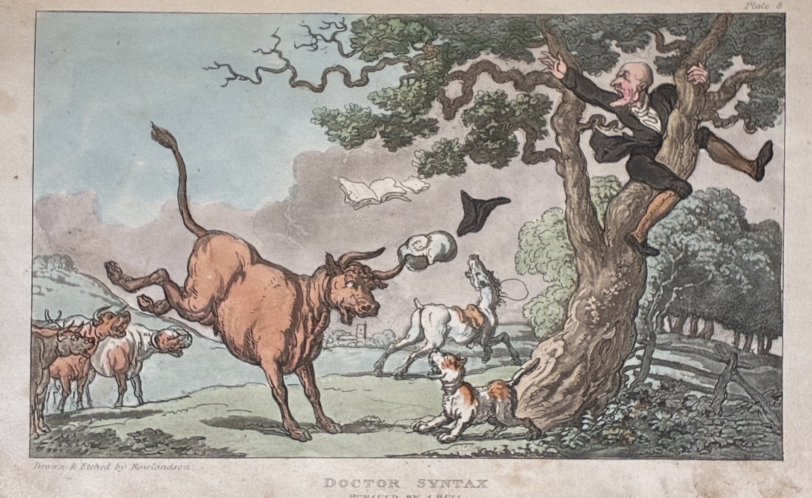 Tour of Doctor Syntax Search of Picturesque 1813, 1st vol., Hand-Colored Prints