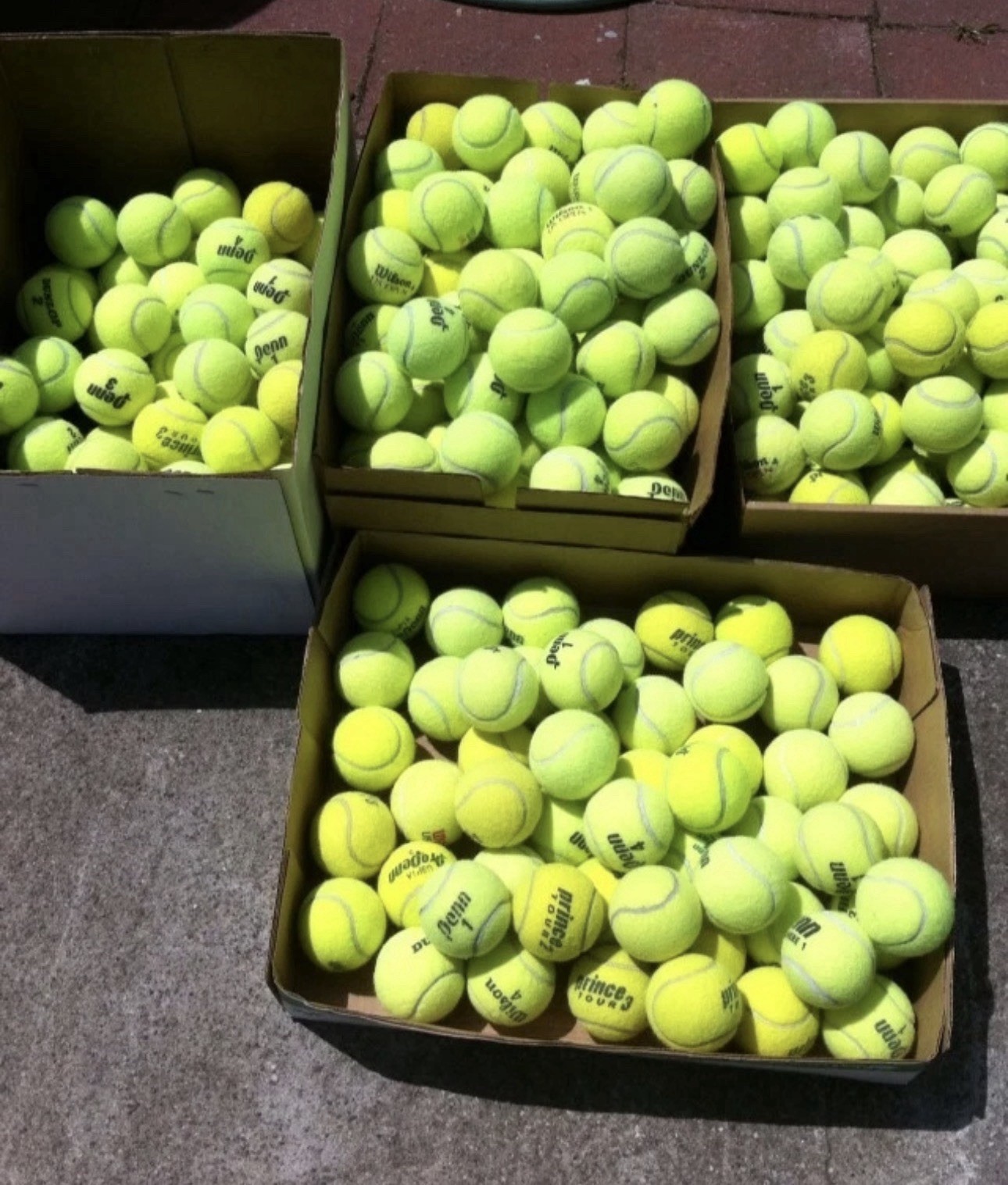 50 Used Tennis Balls 50 Used Tennis Balls