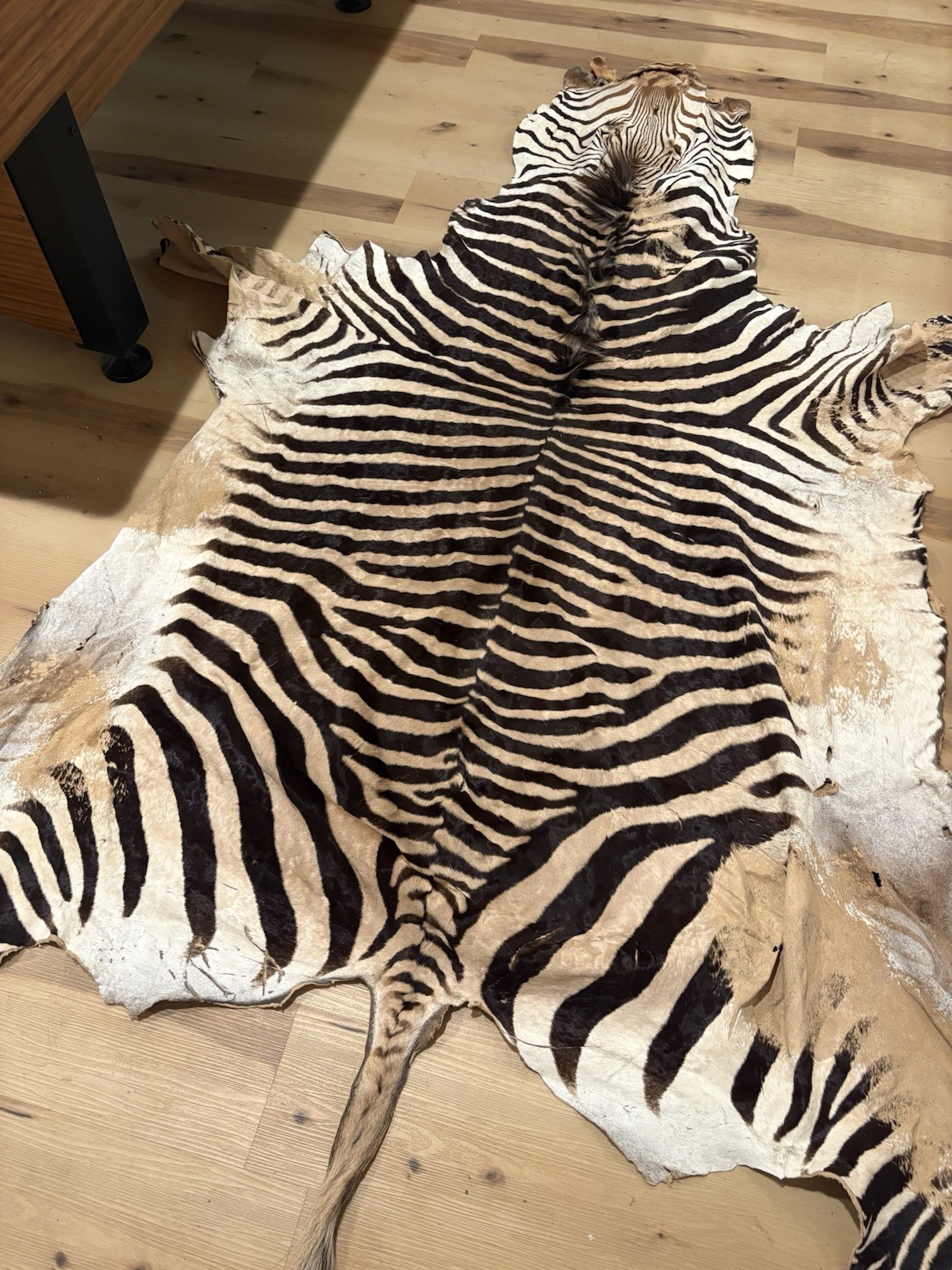 Antique GENUINE AFRICAN BURCHELL ZEBRA SKIN HIDE Antique GENUINE AFRICAN BURCHELL ZEBRA SKIN HIDE