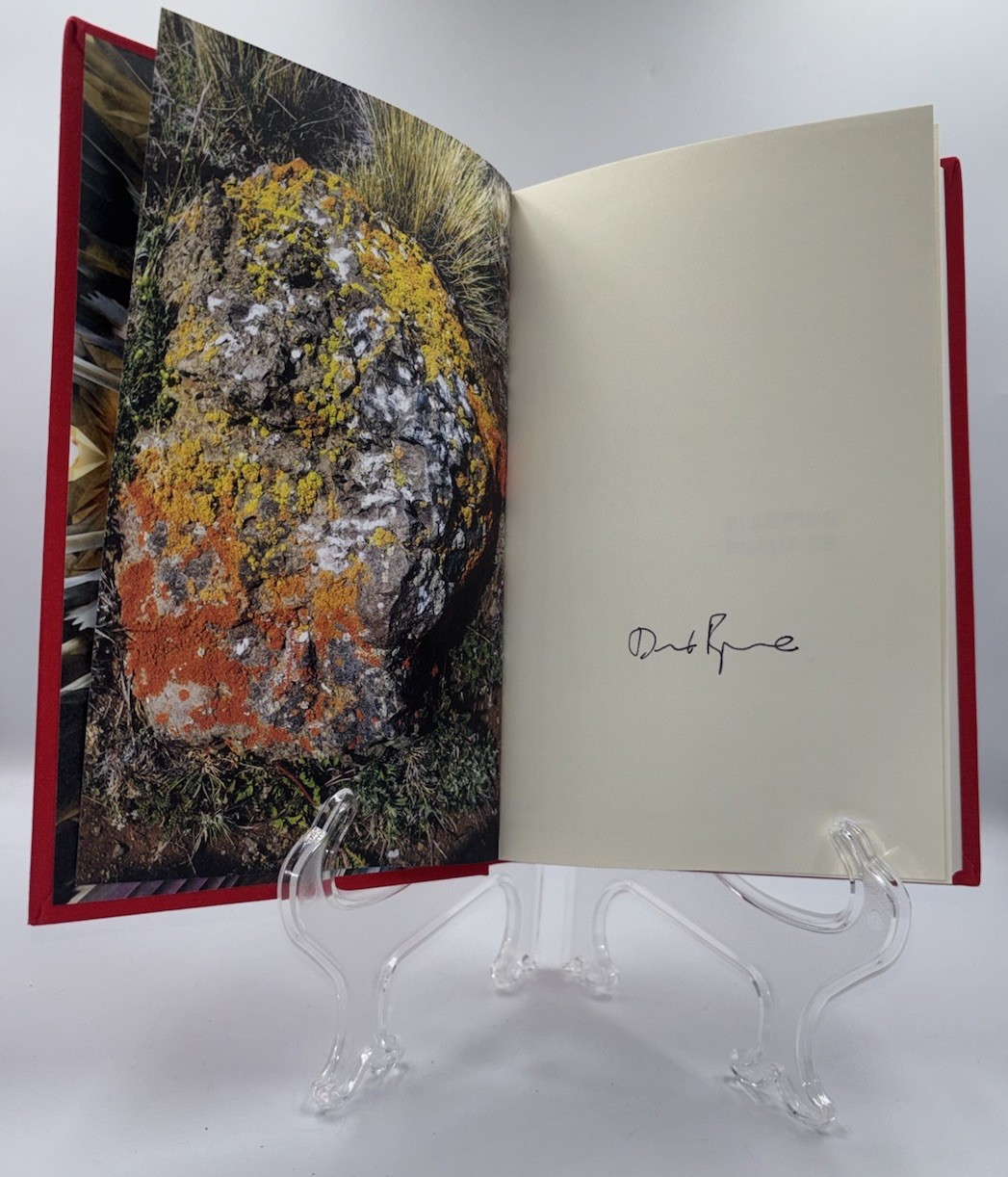 DAVID BYRNE SLEEPING BEAUTIES SIGNED AUTOGRAPHED HC BOOK 1ST / 1ST TALKING HEADS