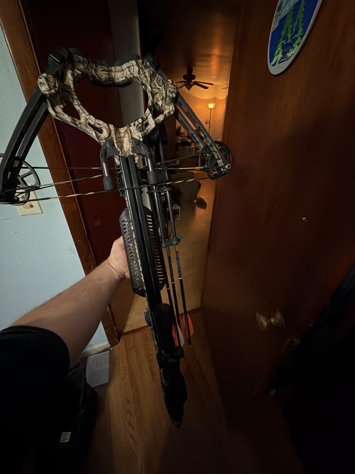 barnett whitetail pro str barnett whitetail pro str
