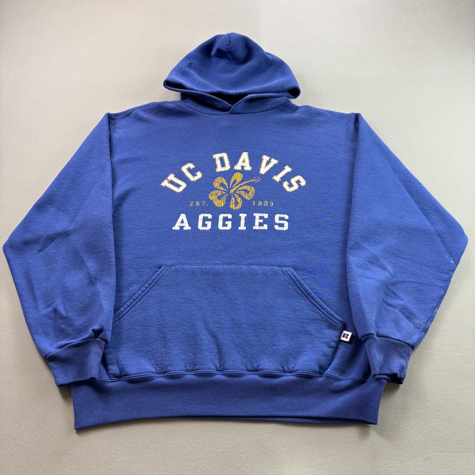 Vintage UC Davis Aggies Hoodie Sweatshirt Mens Medium Blue Russell Athletic 90s