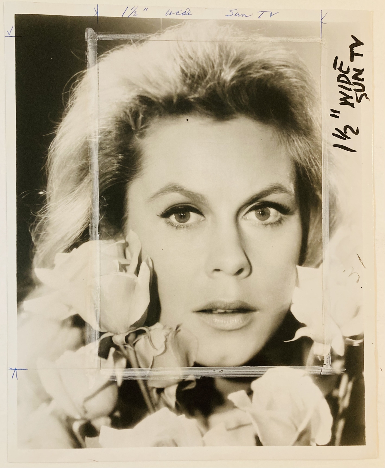 Elizabeth Montgomery Press Photo 1967 Bewitched Stamped Dated Published Aug 24th
