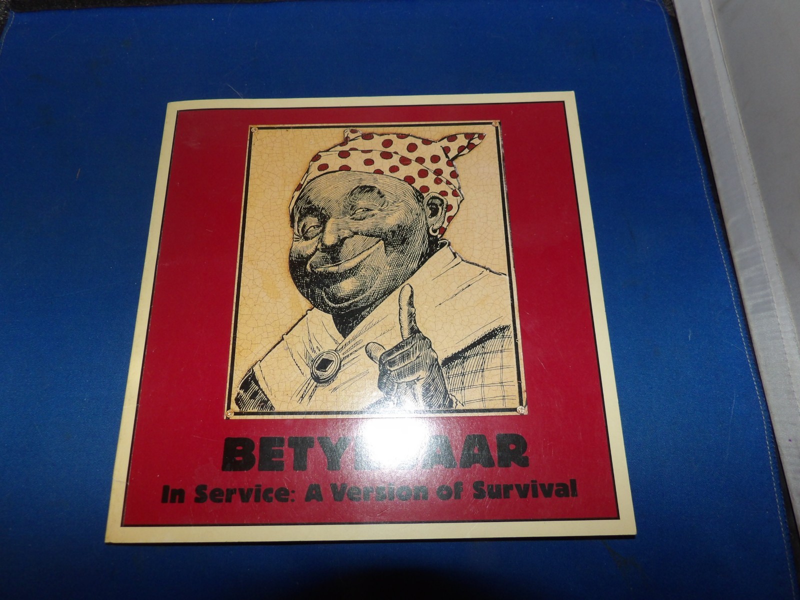 Betye Saar In Service: A Version of Survival 