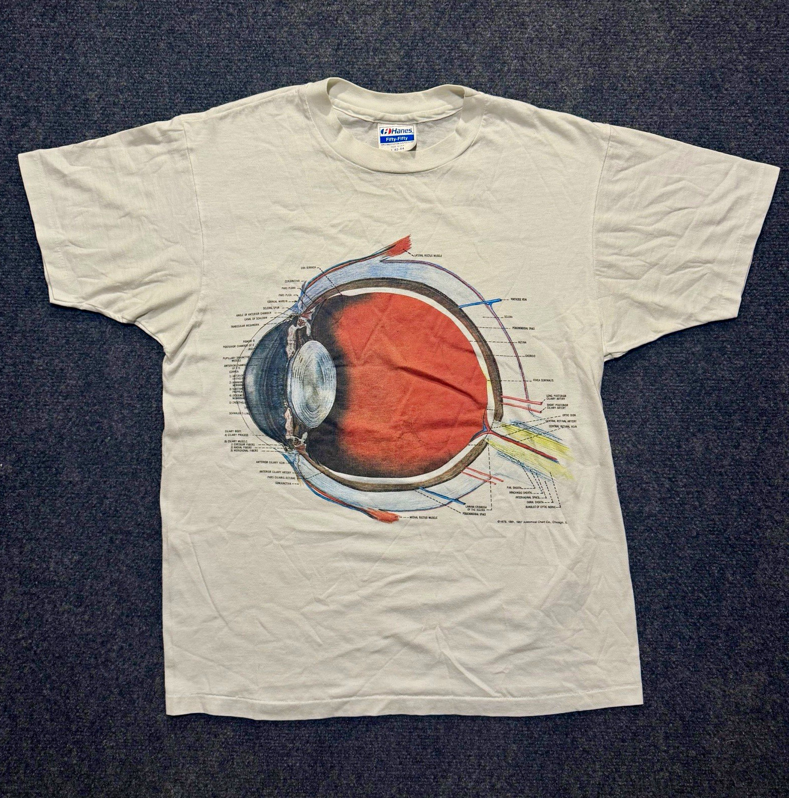 True Vintage 1987 Eyeball Eye Anatomy Obscure Medical Art T Shirt Size L Nirvana True Vintage 1987 Eyeball Eye Anatomy Obscure Medical Art T Shirt Size L Nirvana