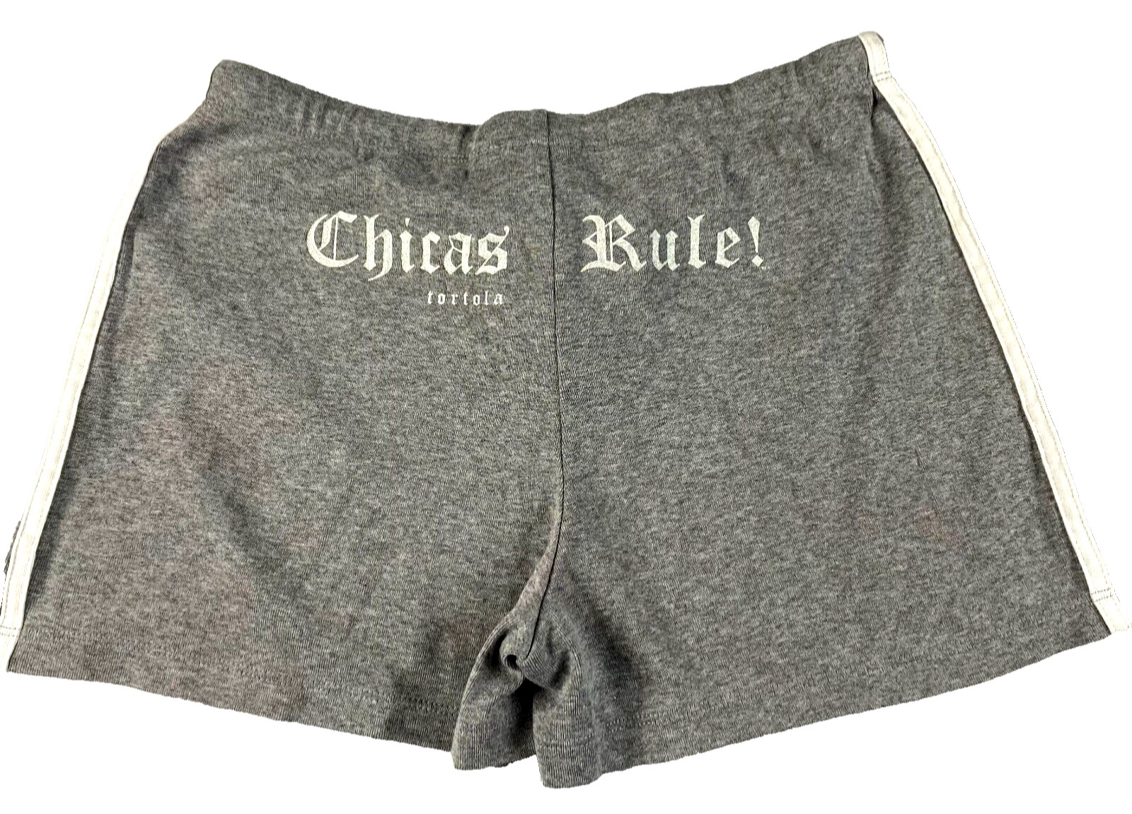 TechStyles Sportswear Women Shorts Sz L Gray Drawstring Chicas Rule Tortola NWOT