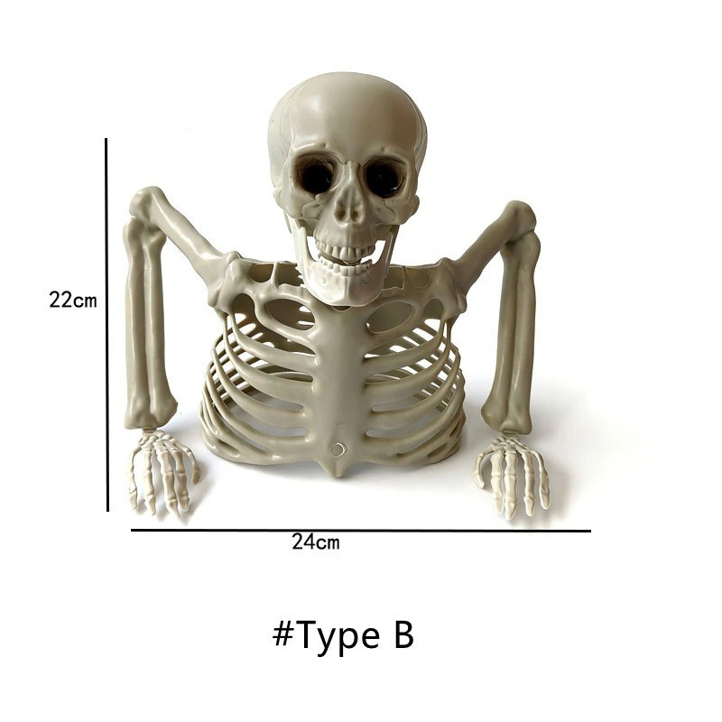 Halloween Half Body Skeleton Decoration Plastic Skull Ribs Arms Haunted House US