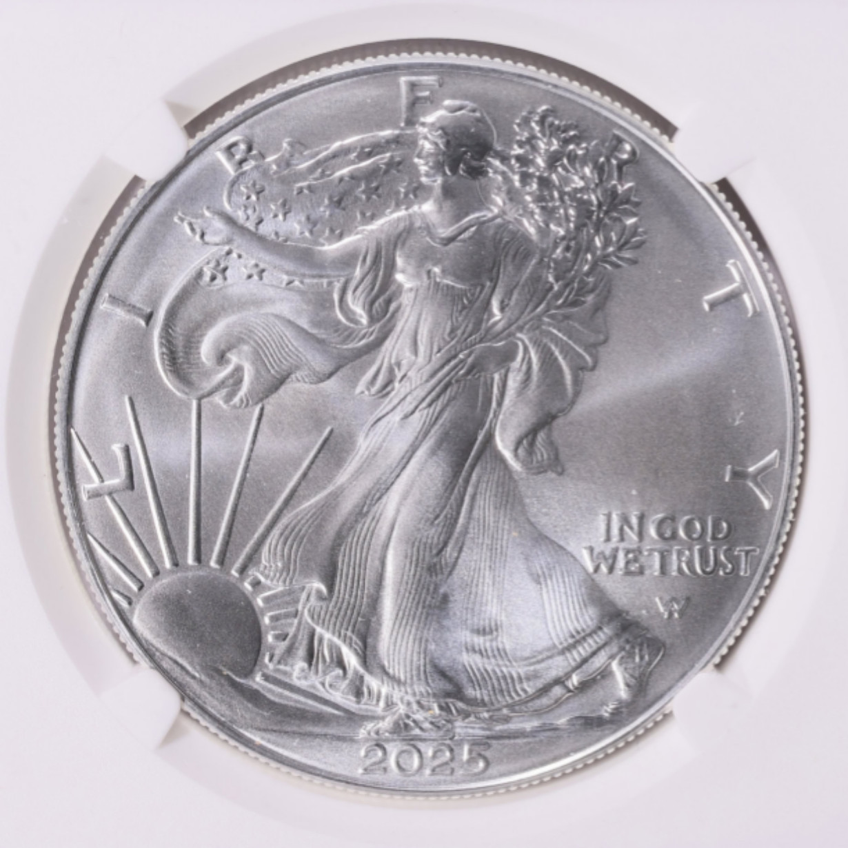 2025 $1 American Silver Eagle 1 oz Brilliant Uncirculated 2025 $1 American Silver Eagle 1 oz Brilliant Uncirculated