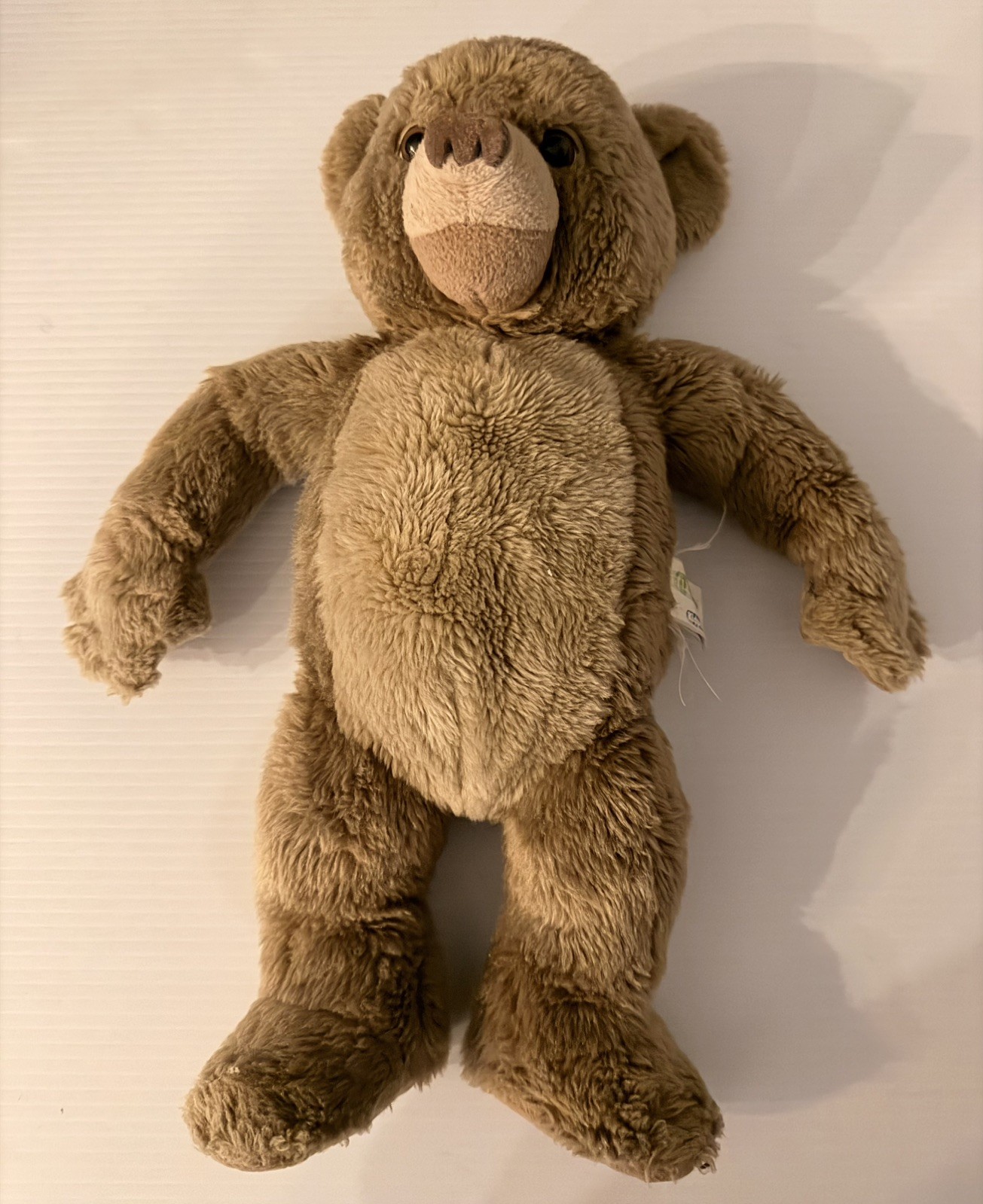 Vintage 1998 Maurice Sendak’s “Little Bear” Bear TALKS Laughs Plush WORKS Rare 