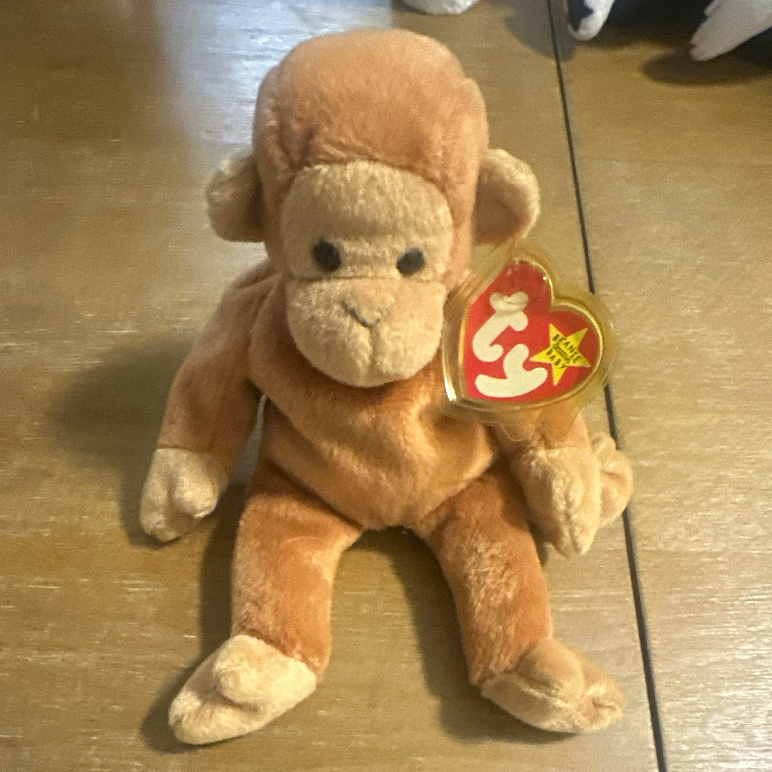 Ty Beanie Babies \ Ty Beanie Babies \