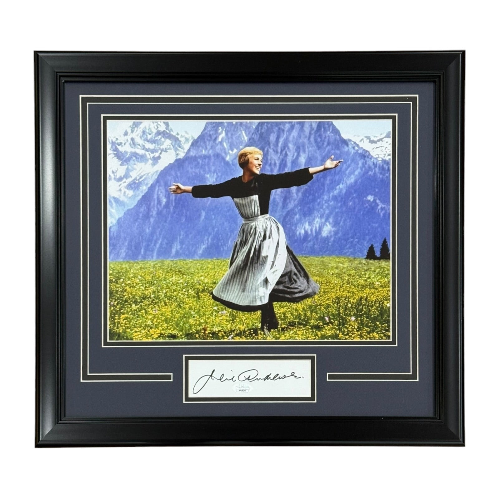 Julie Andrews Autographed The Sound of Music Deluxe Framed 11x14 Photo with Auto Julie Andrews Autographed The Sound of Music Deluxe Framed 11x14 Photo with Auto