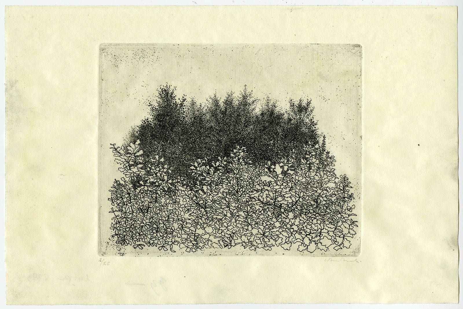 Antique Master Print-LANDSCAPE-Noordhoek-ca. 1946
