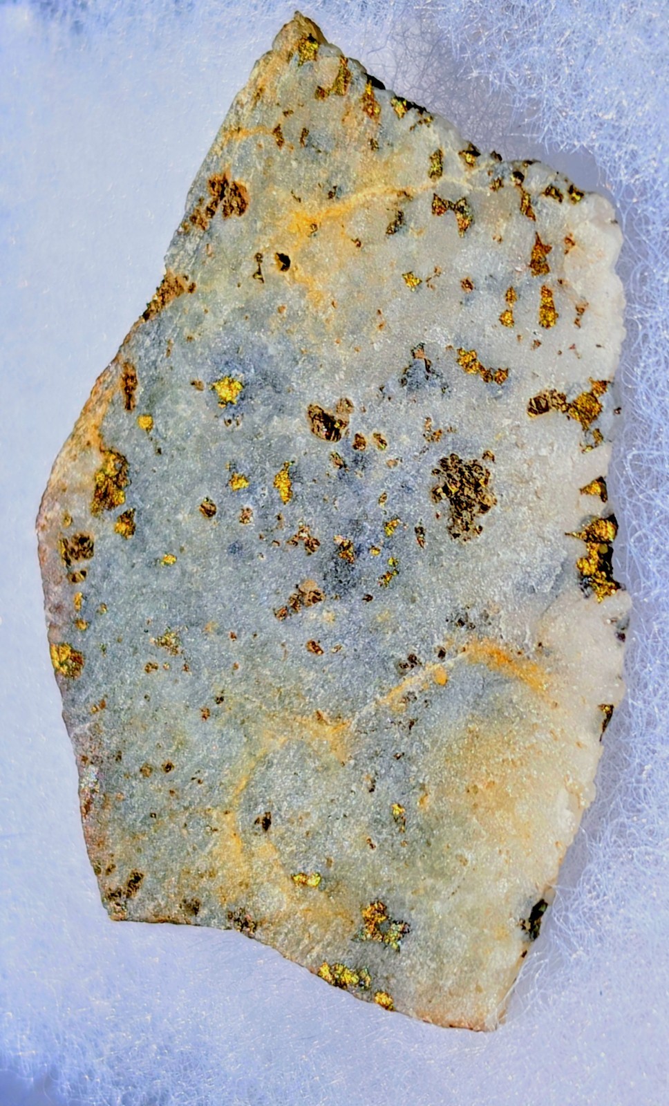 Stunning Gold Ore Slab from the Rugged San Juan Mountains of Colorado Stunning Gold Ore Slab from the Rugged San Juan Mountains of Colorado