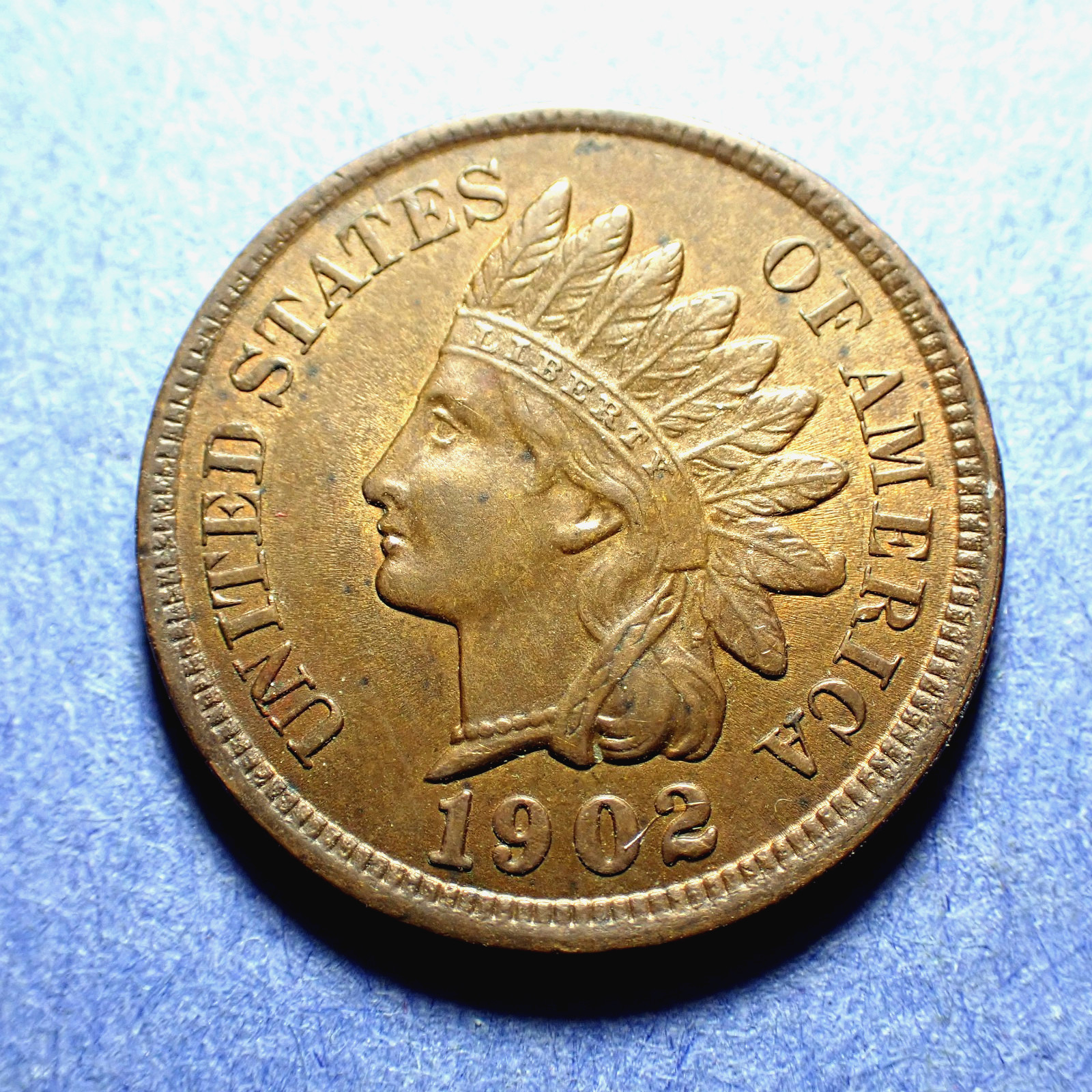 1902 Indian Cent  Borderline Uncirculated  Brown
