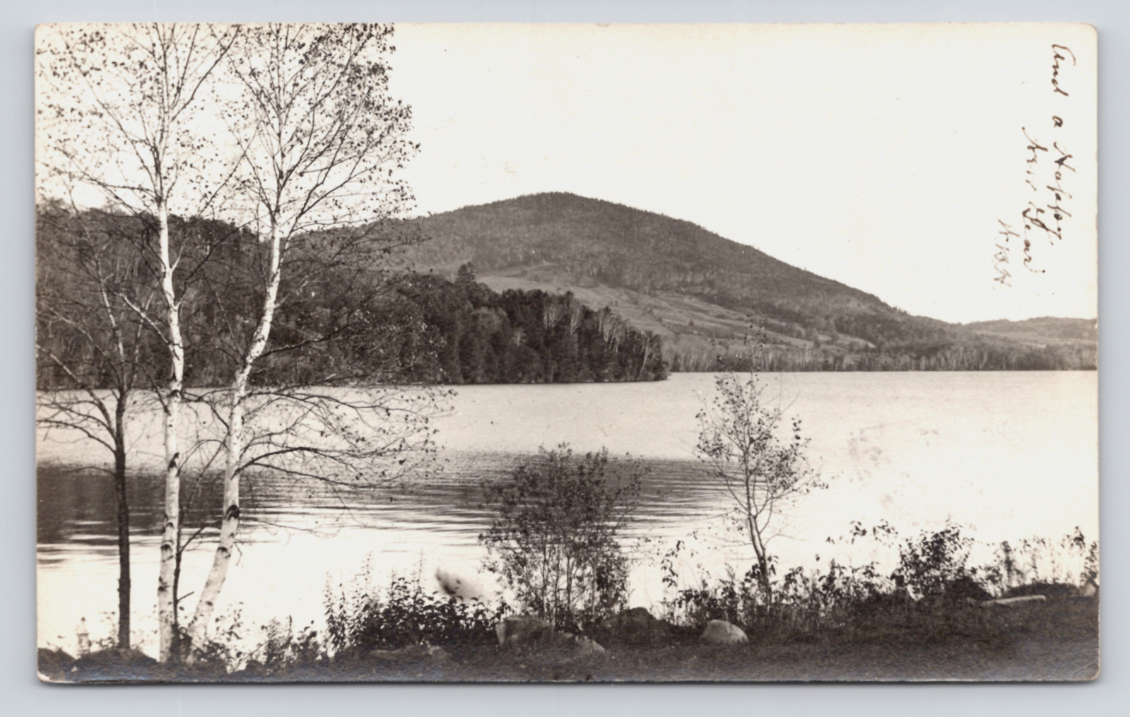 c1905 Lake View Birches Mountain Peacham VT RPPC Caledonia County
