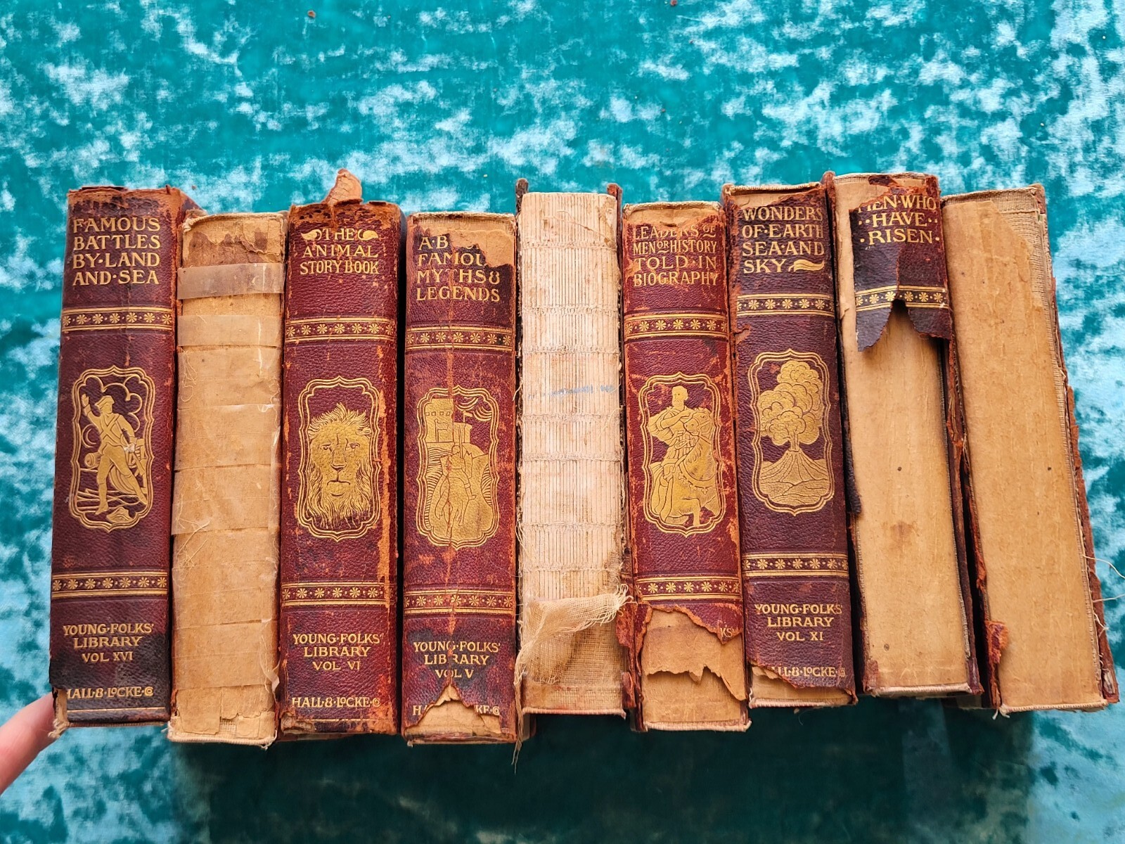 1902 YOUNG FOLKS LIBRARY Leather Book Lot 9 Books Hall & Locke 3Ed Vintage Antq